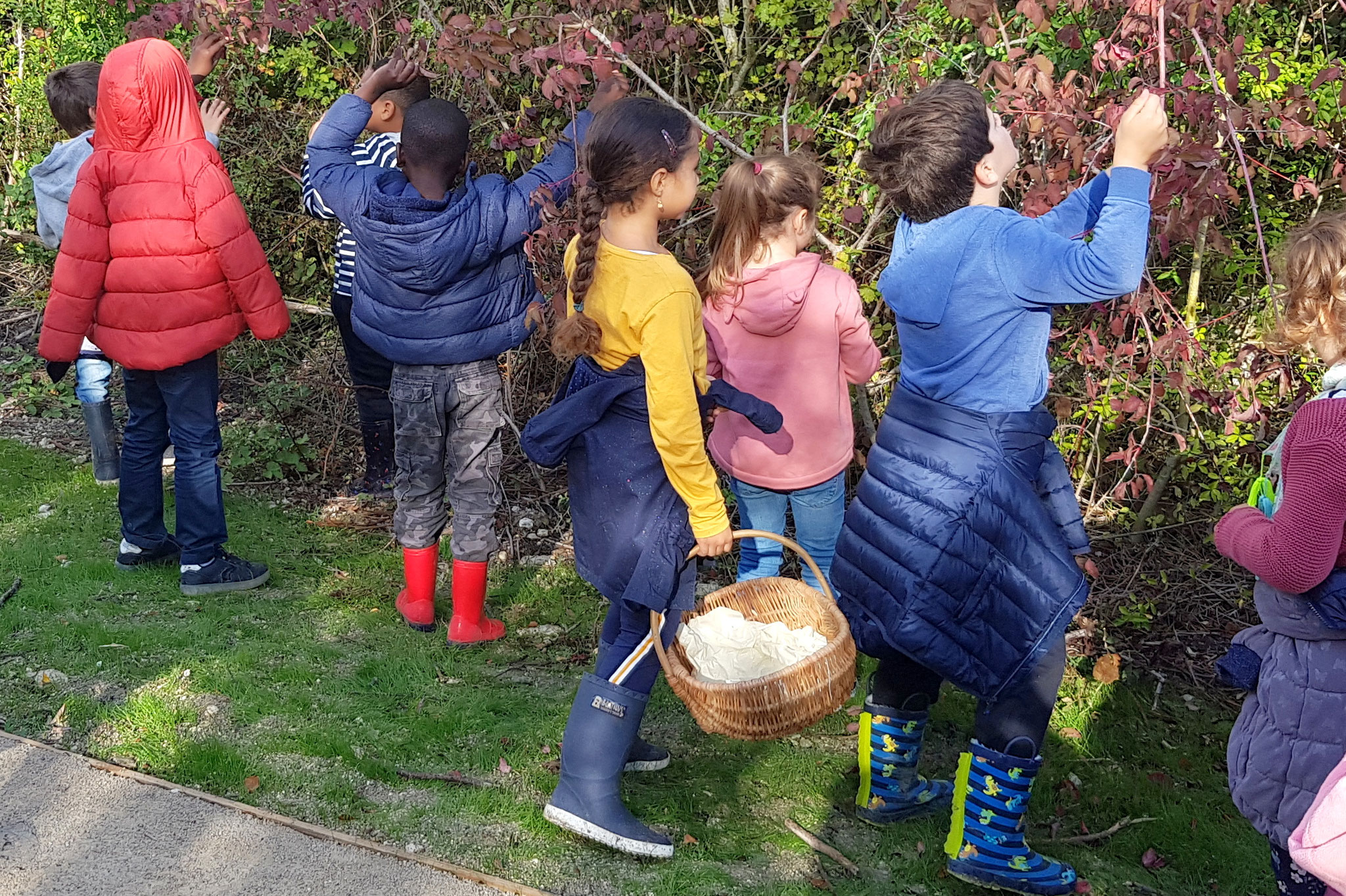 Luciole-paysage_Participation_collecte-enfants