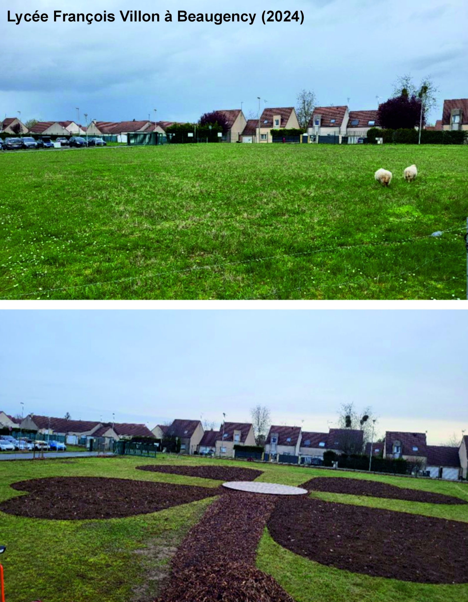 Luciole-paysage_Maitrise-Oeuvre_Lycee-Villon-vegetalisation-micro-foret-land-art