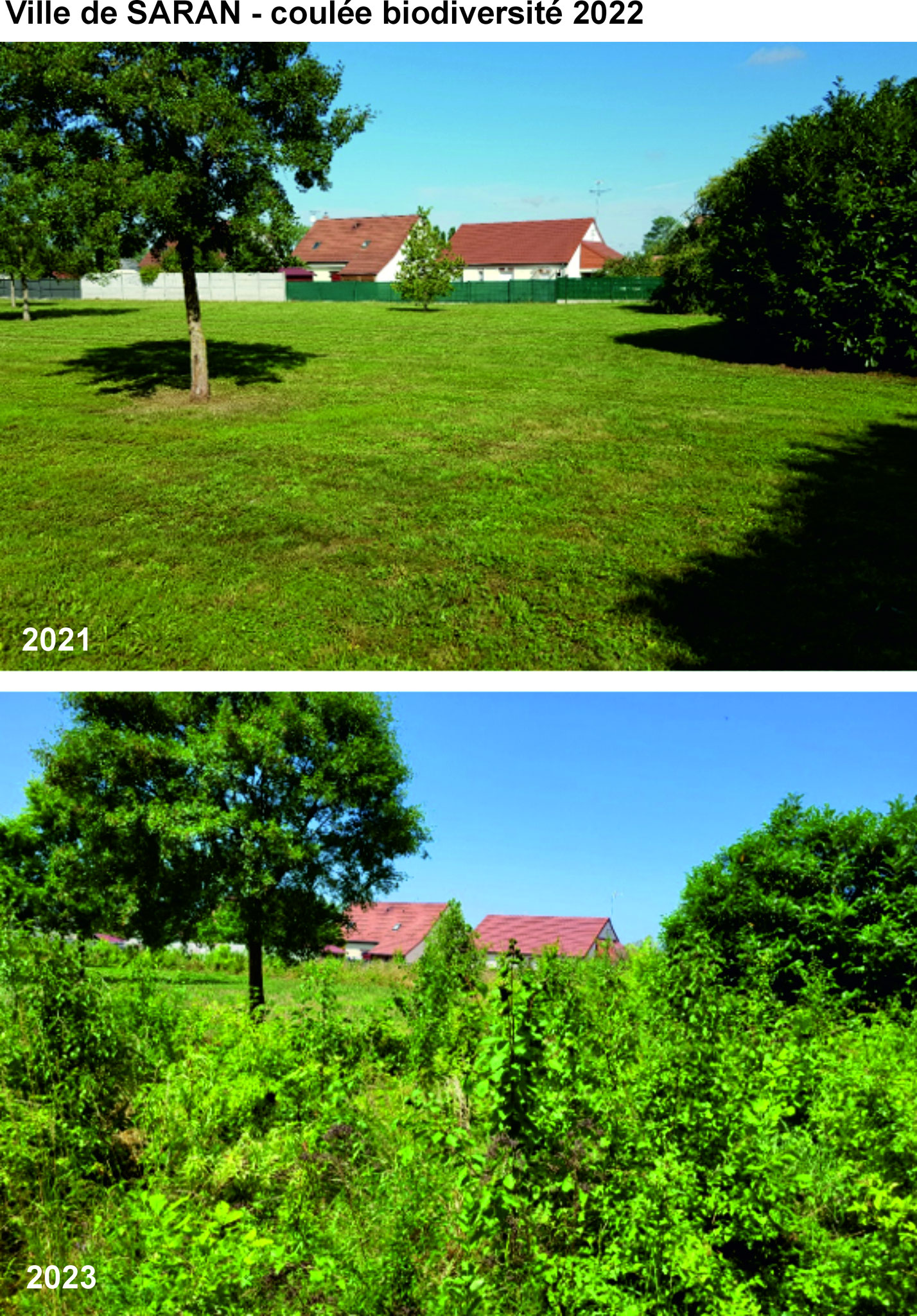 Luciole-paysage_Maitrise-Oeuvre_Coulee-verte-Saran-micro-foret