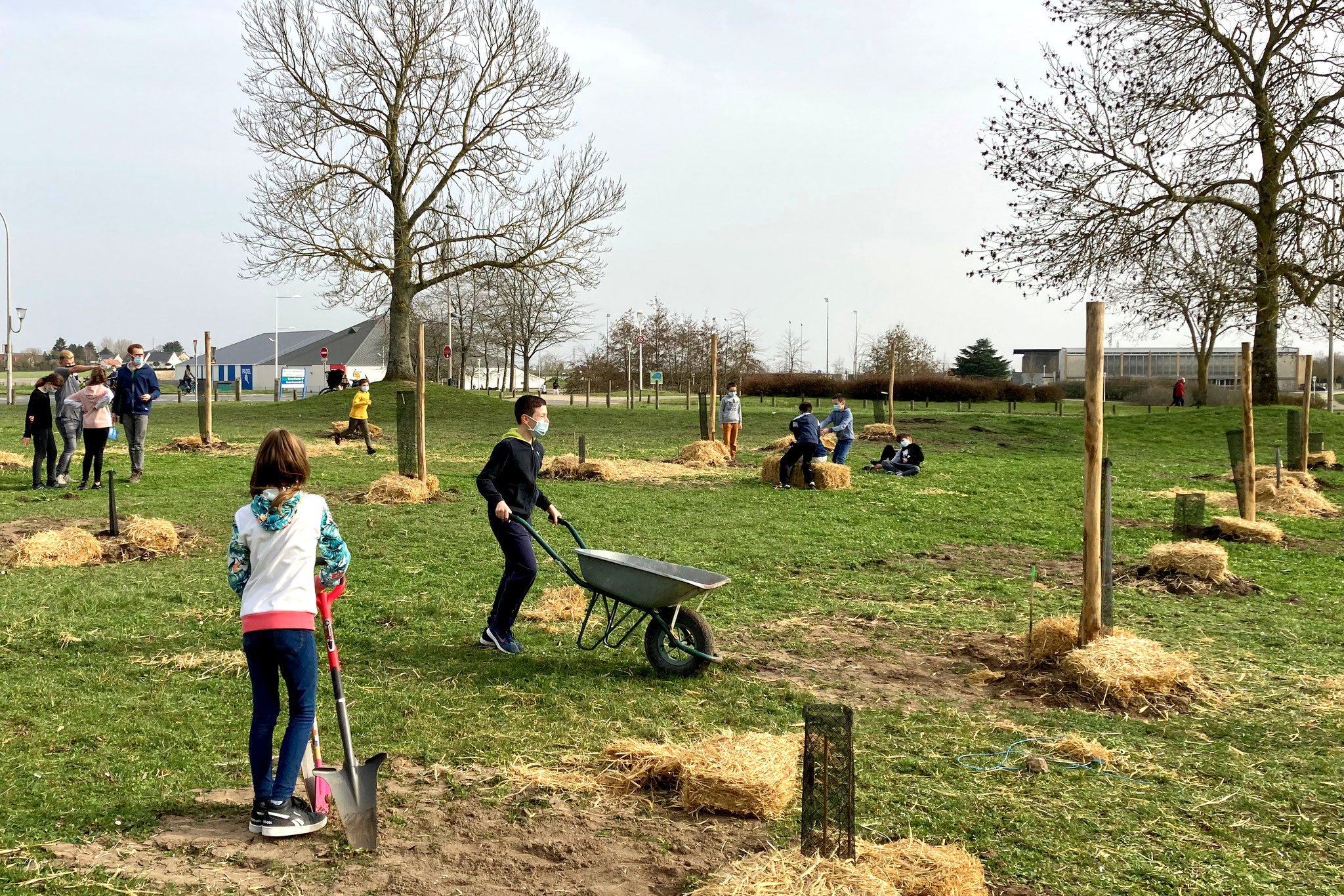 Luciole-paysage_Participation_Verger-enfants