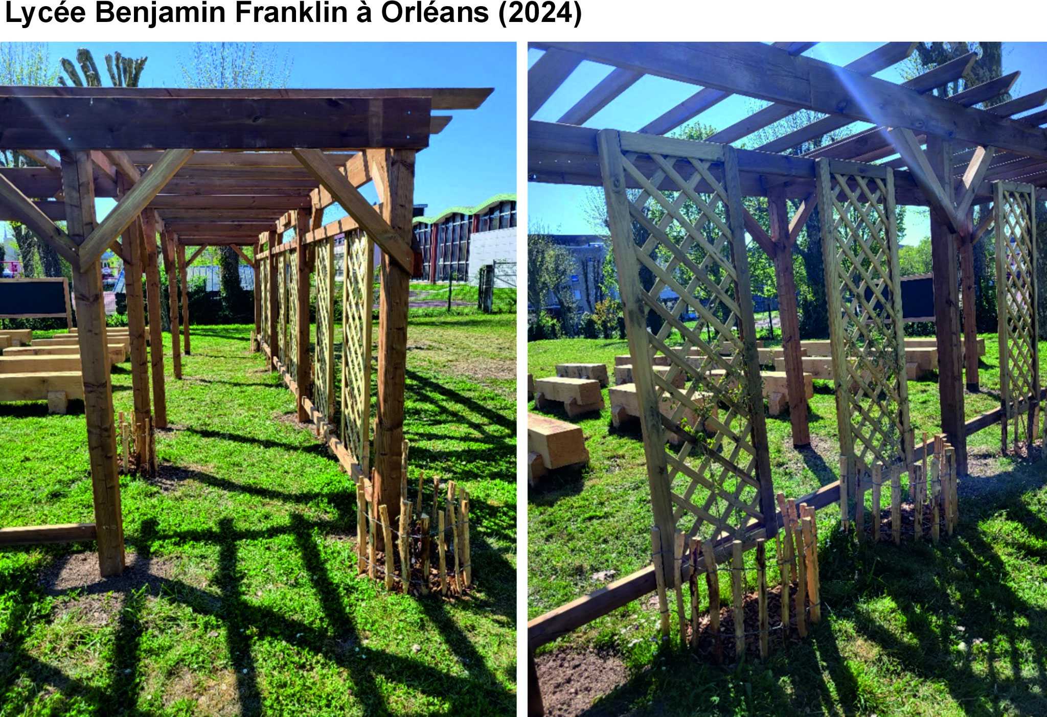 Luciole-paysage_Maitrise-Oeuvre_Pergola-vegetalisee