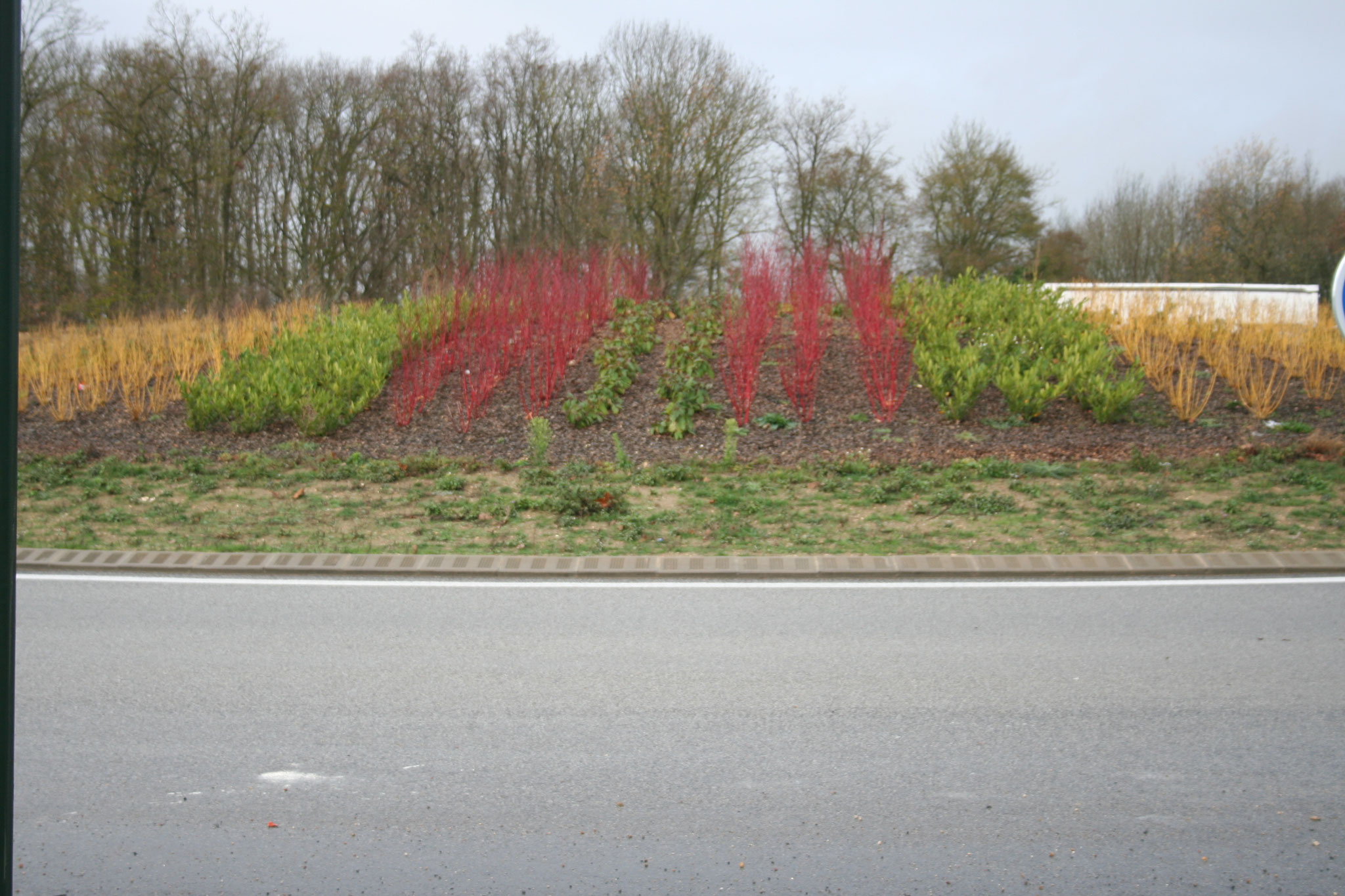 Luciole-paysage_Maitrise-Oeuvre_Rond-point