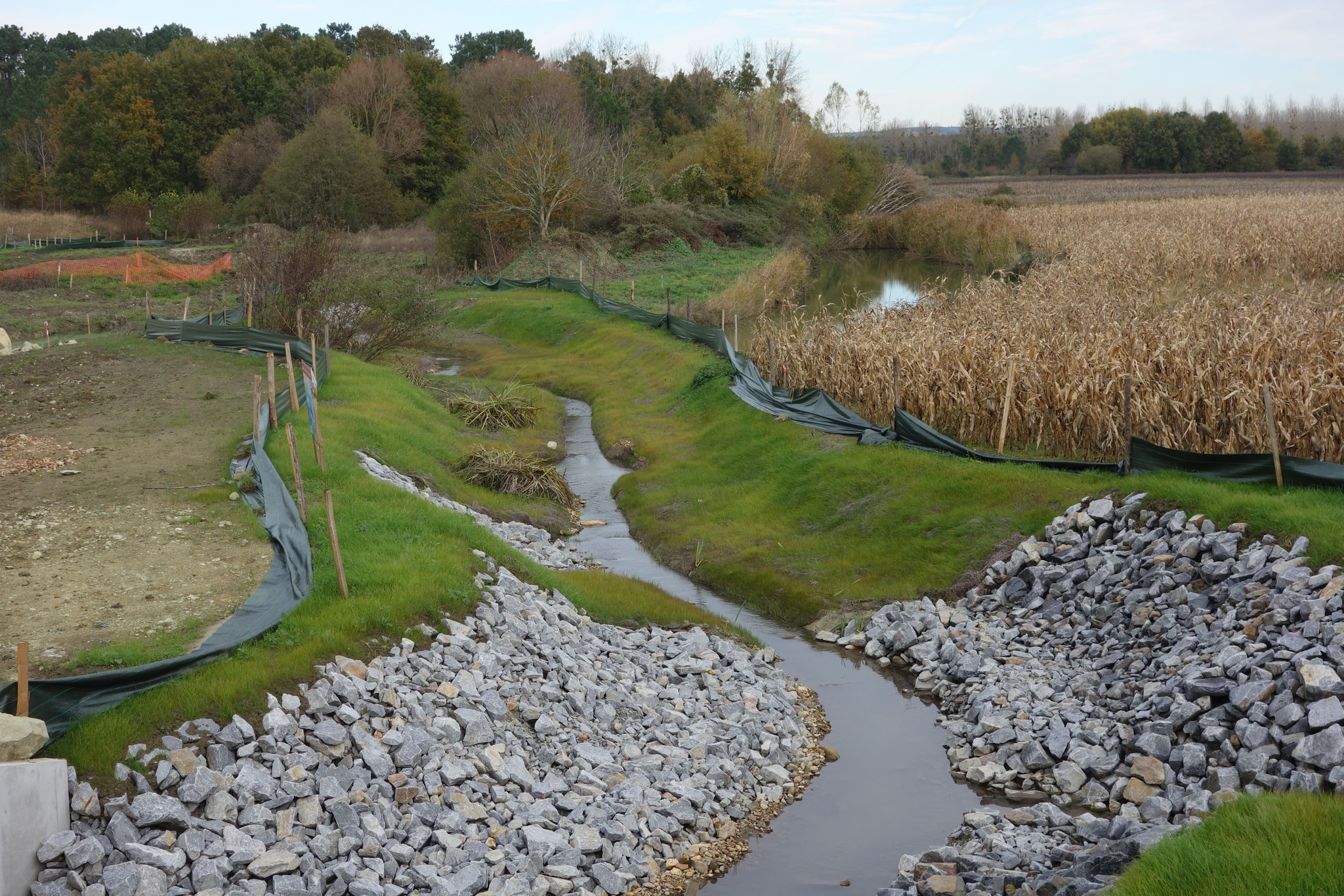 Luciole-paysage_Biodiversite-Remeandrage-Riviere-LGV