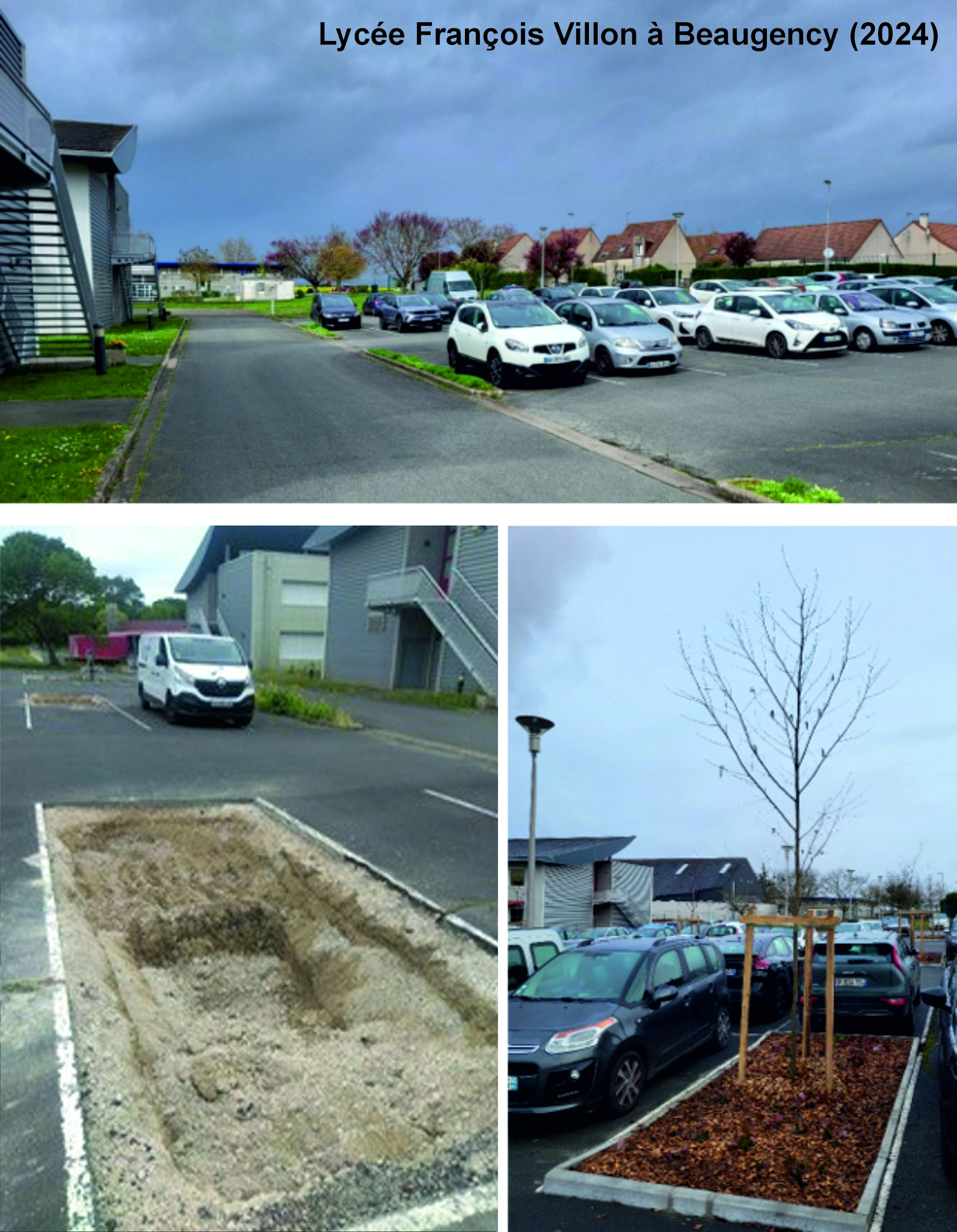Luciole-paysage_Maitrise-Oeuvre_Lycee-Villon-vegetalisation-parking