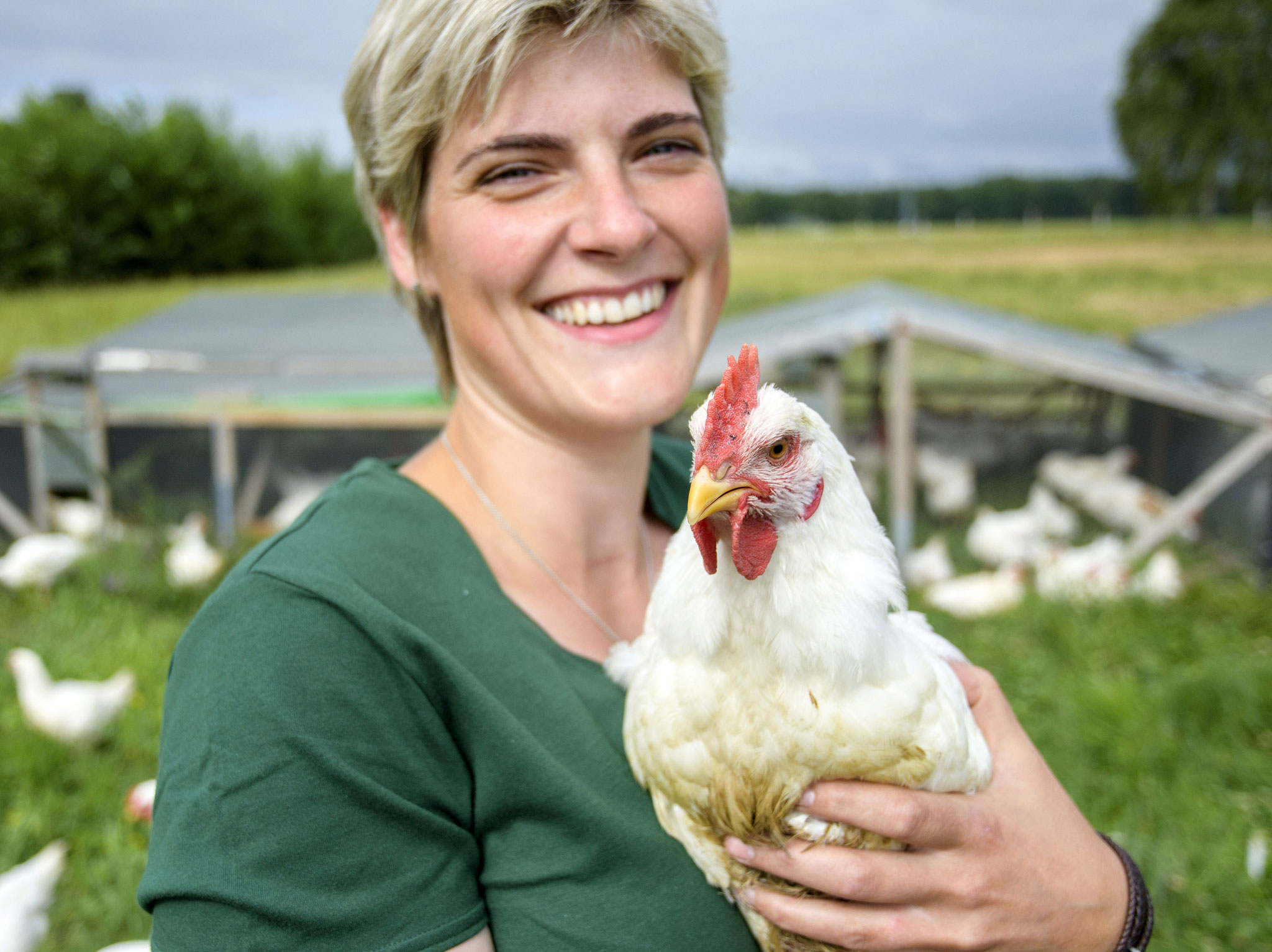 Hartmanns Hähnchen - artgerechte Haltung vom ersten Tag!