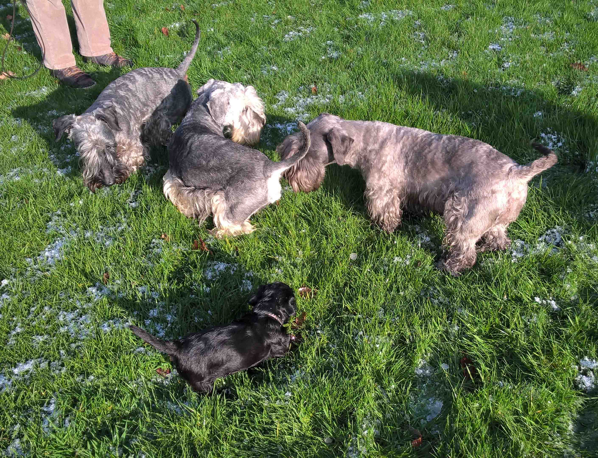 Papa und Tante Bobby sind zu Besuch!