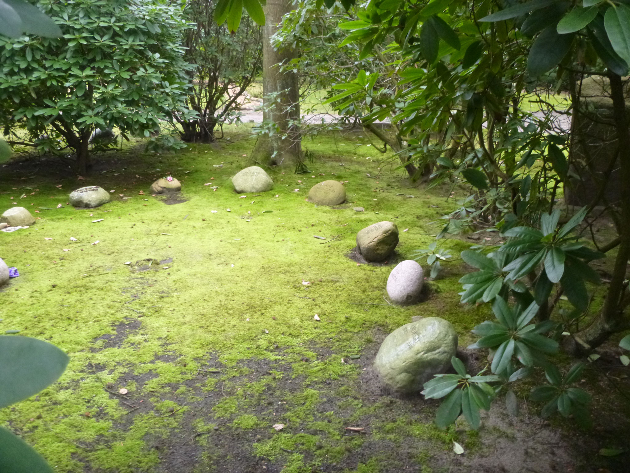 Baumgräber Friedhof Groß-Flottbek