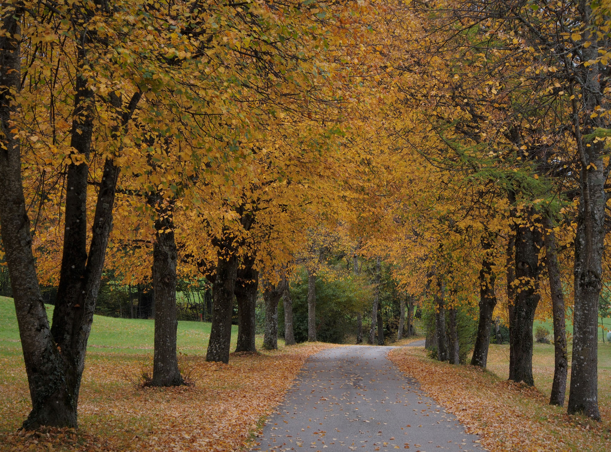 Ohrange Love Folk Pop Aus Regensburg 2018