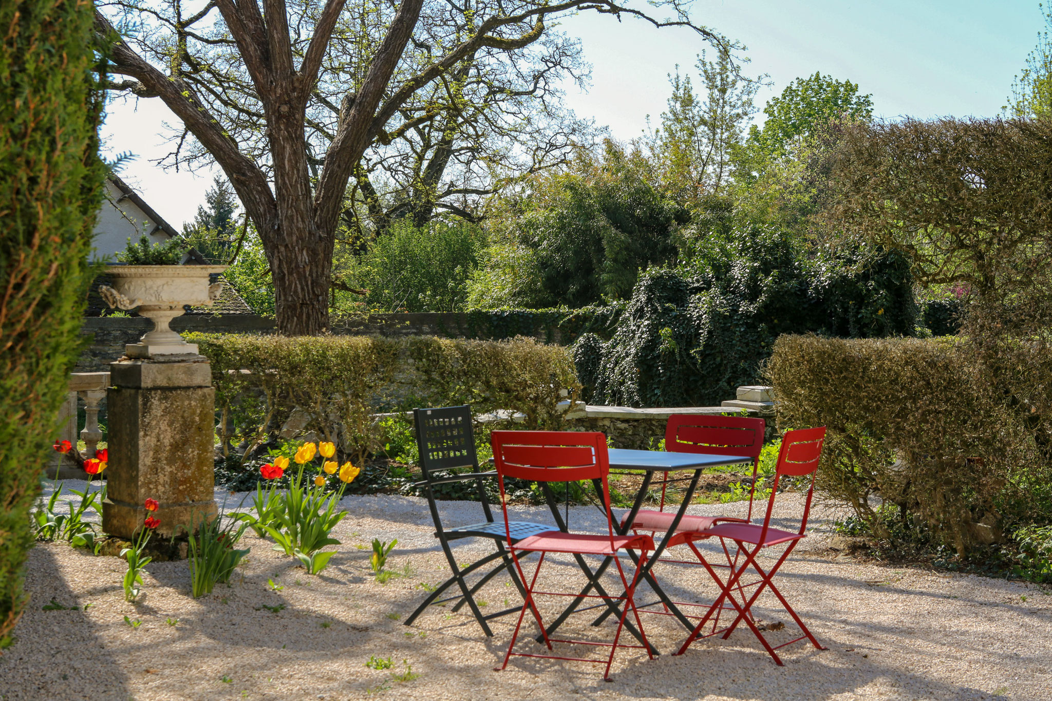 Petit logis - jardin privatif et tulipes