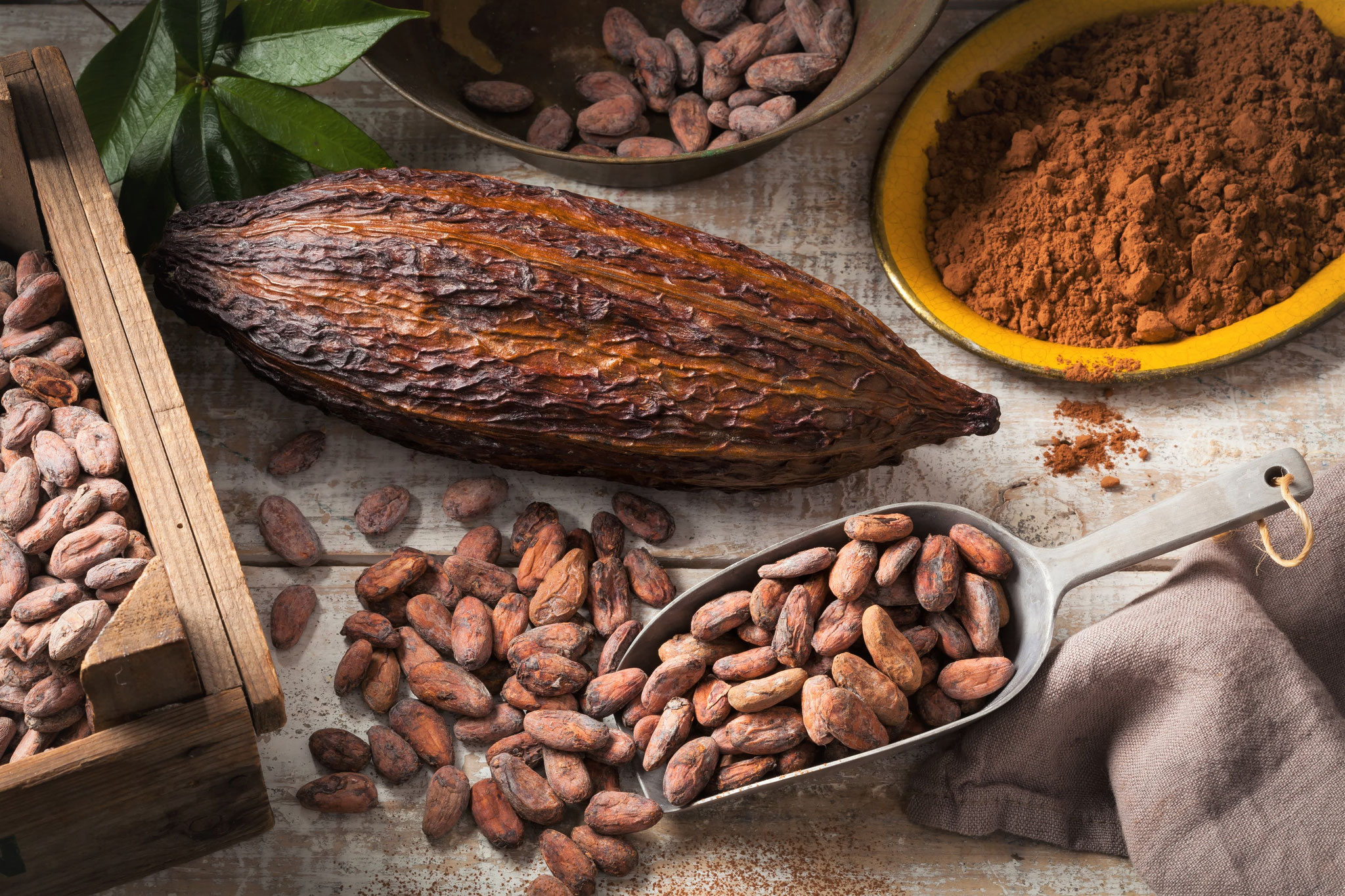 Cabosse de cacaoyer et fèves de cacao grillées