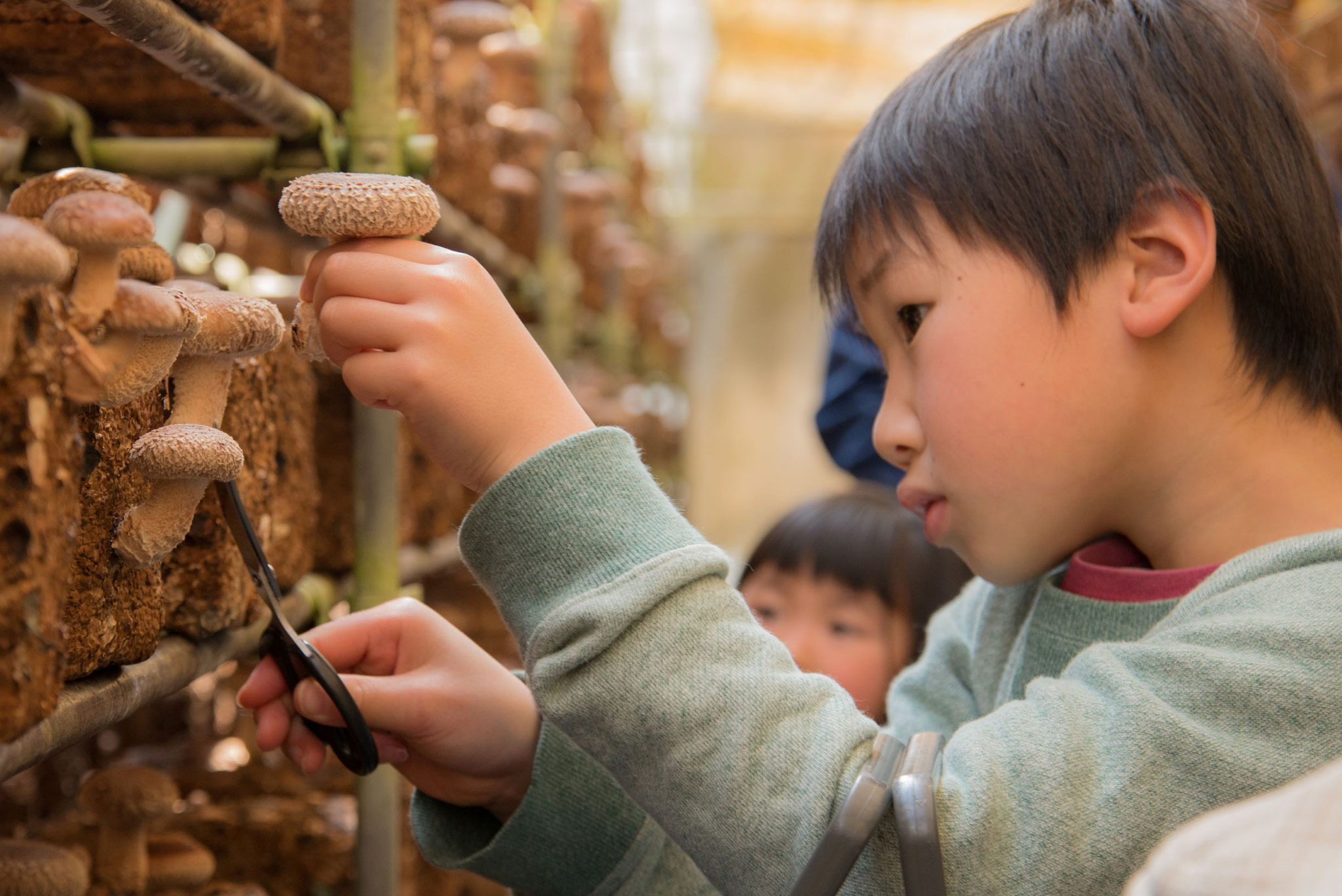 お子様の食育にも