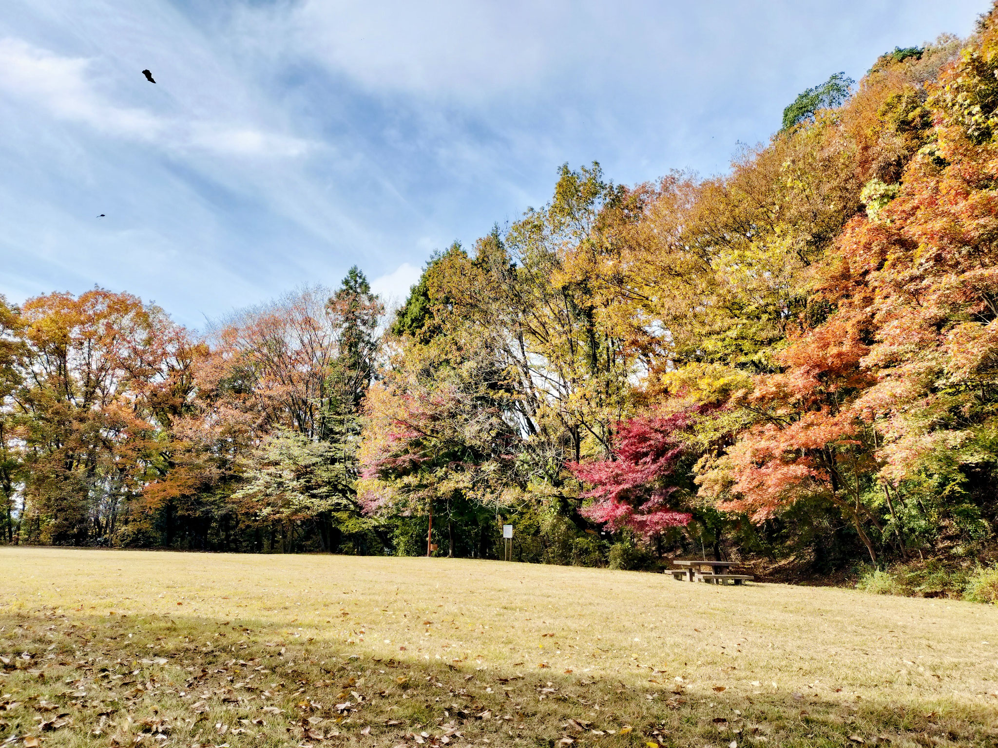 丘の上公園