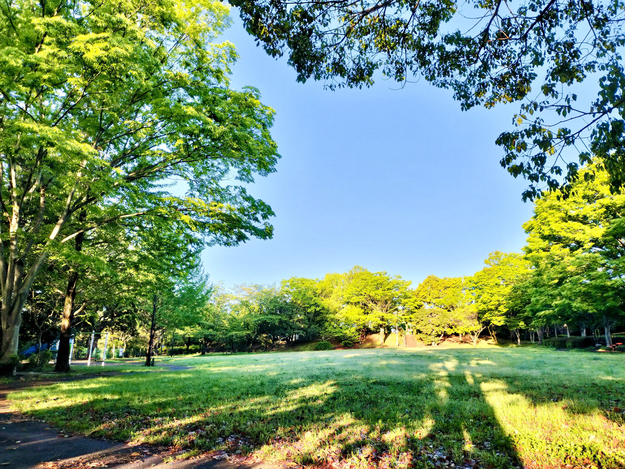 中央公園
