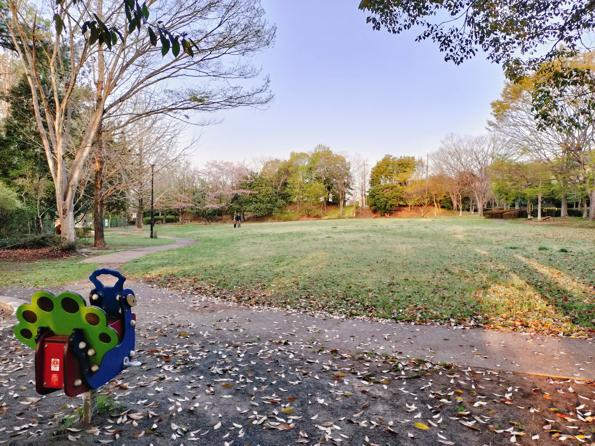 中央公園