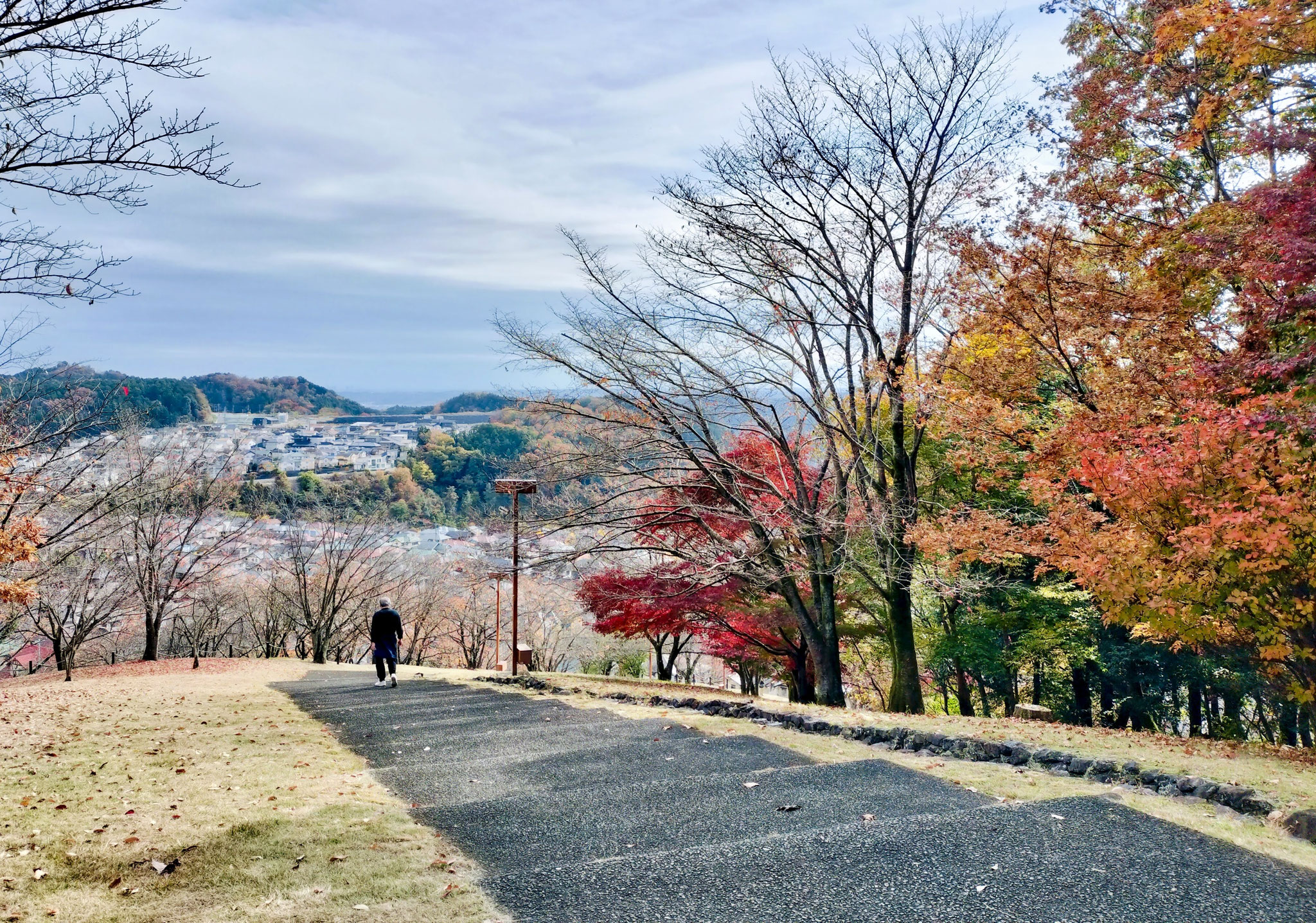 丘の上公園から眺める団地