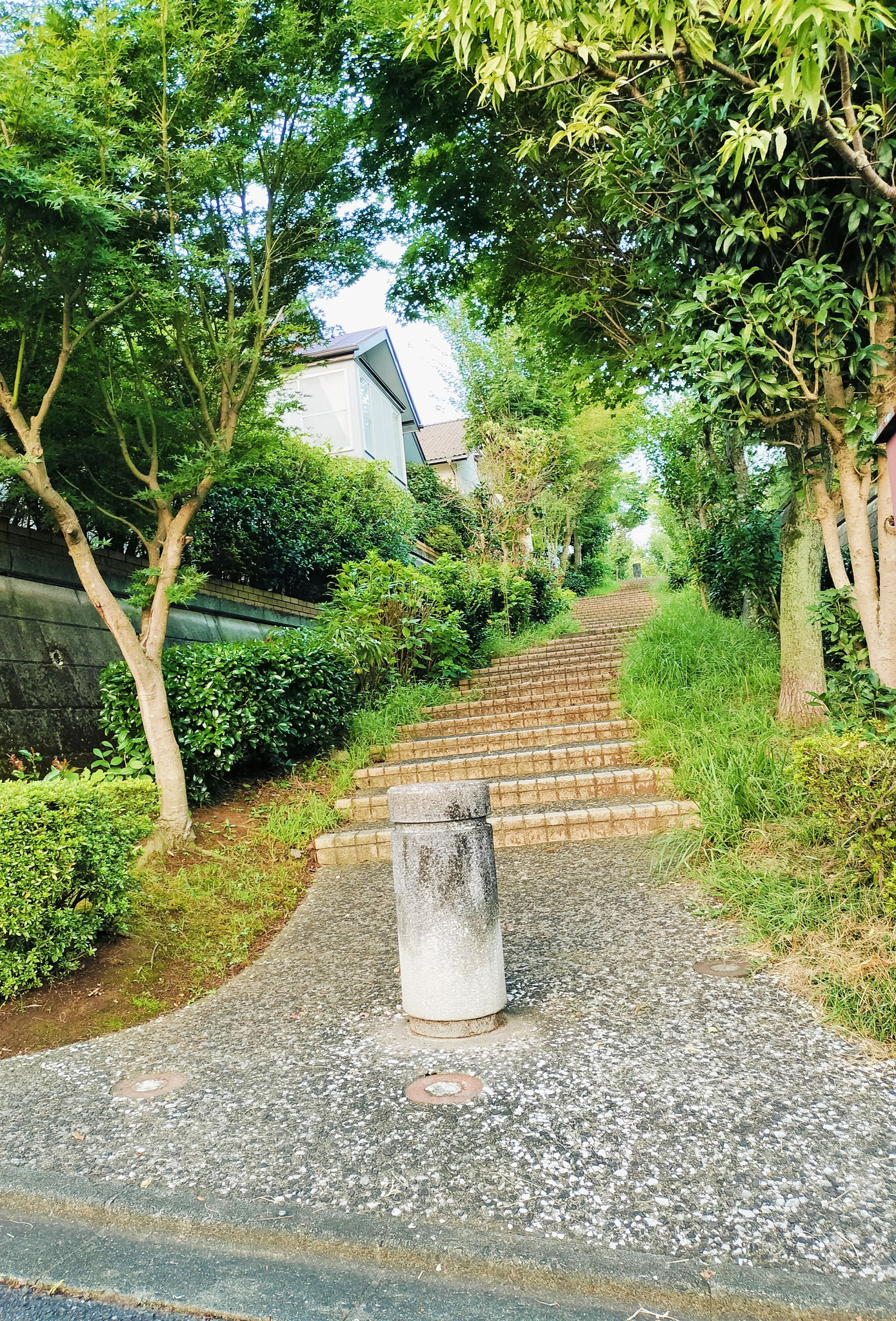 団地内緑道