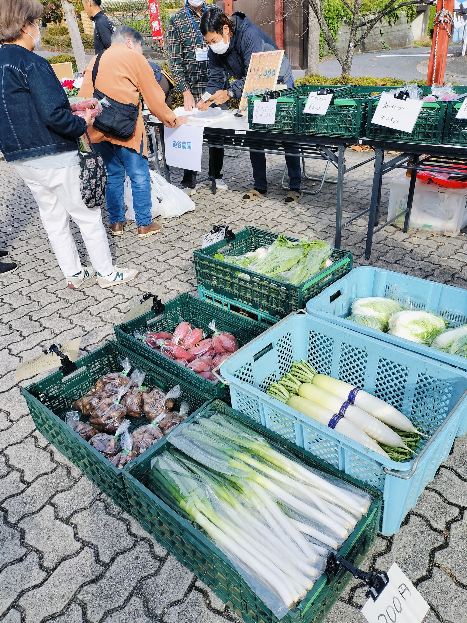 お買い得野菜！！