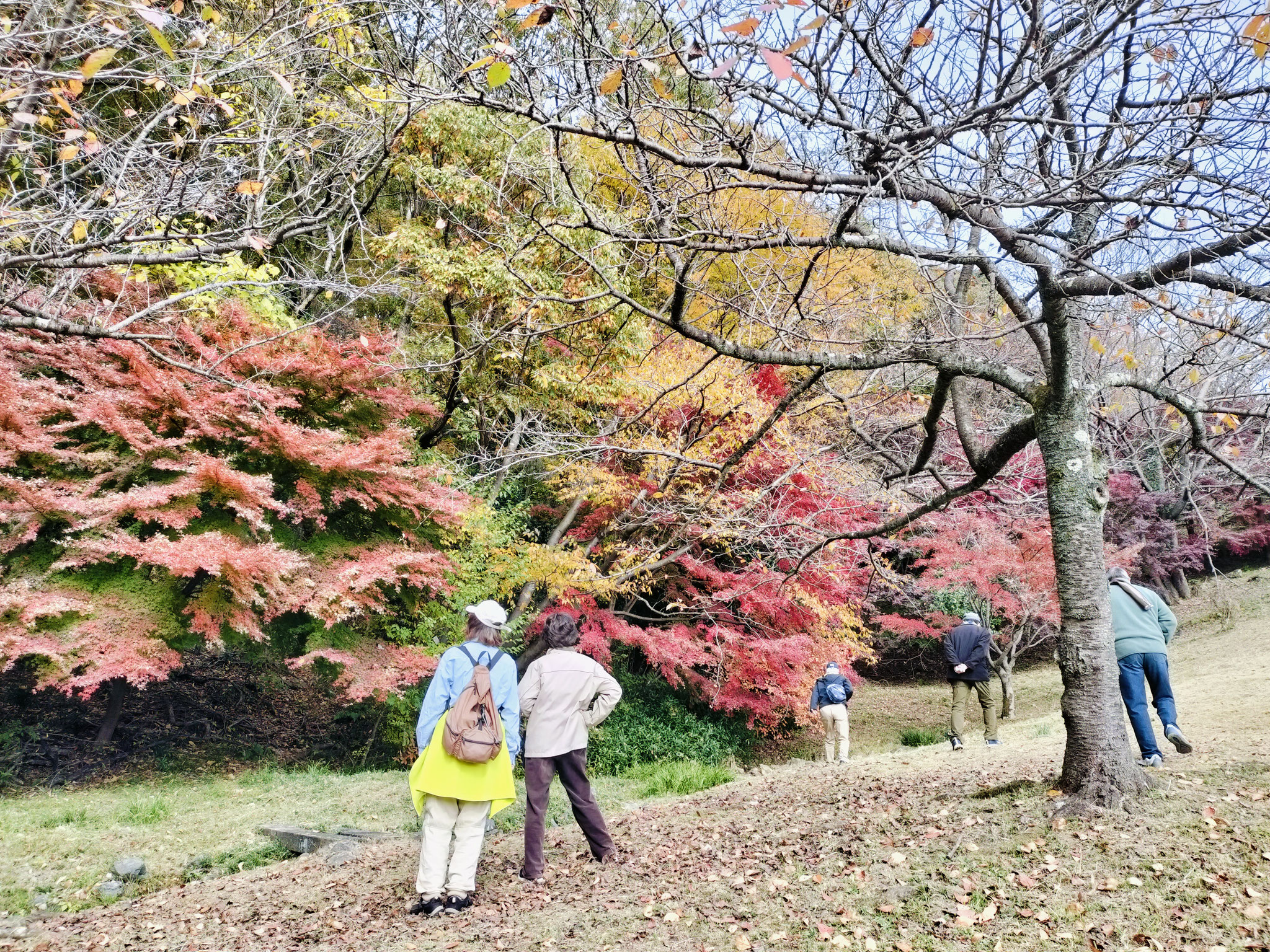 丘の上中腹
