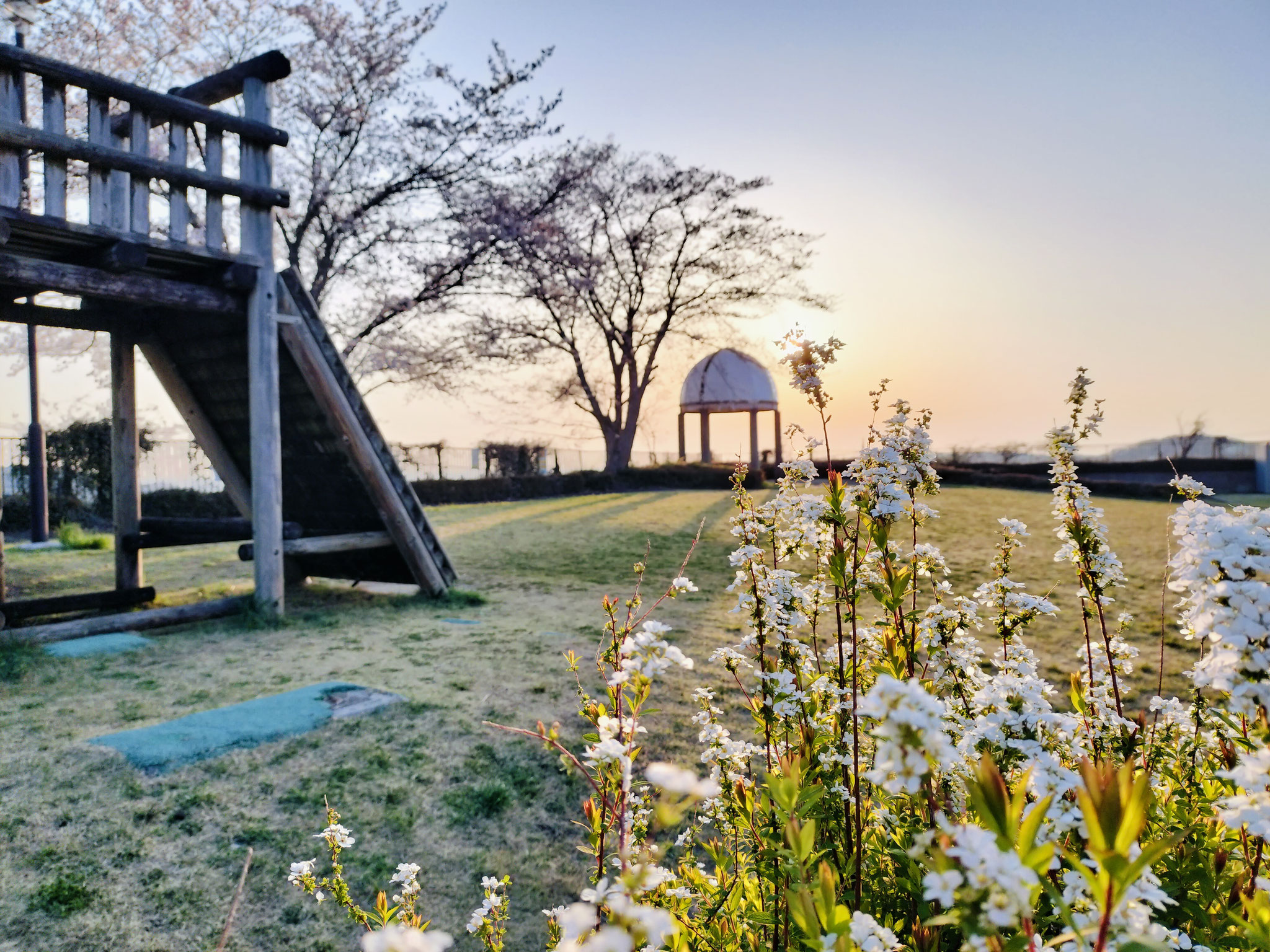 春　ロケット公園