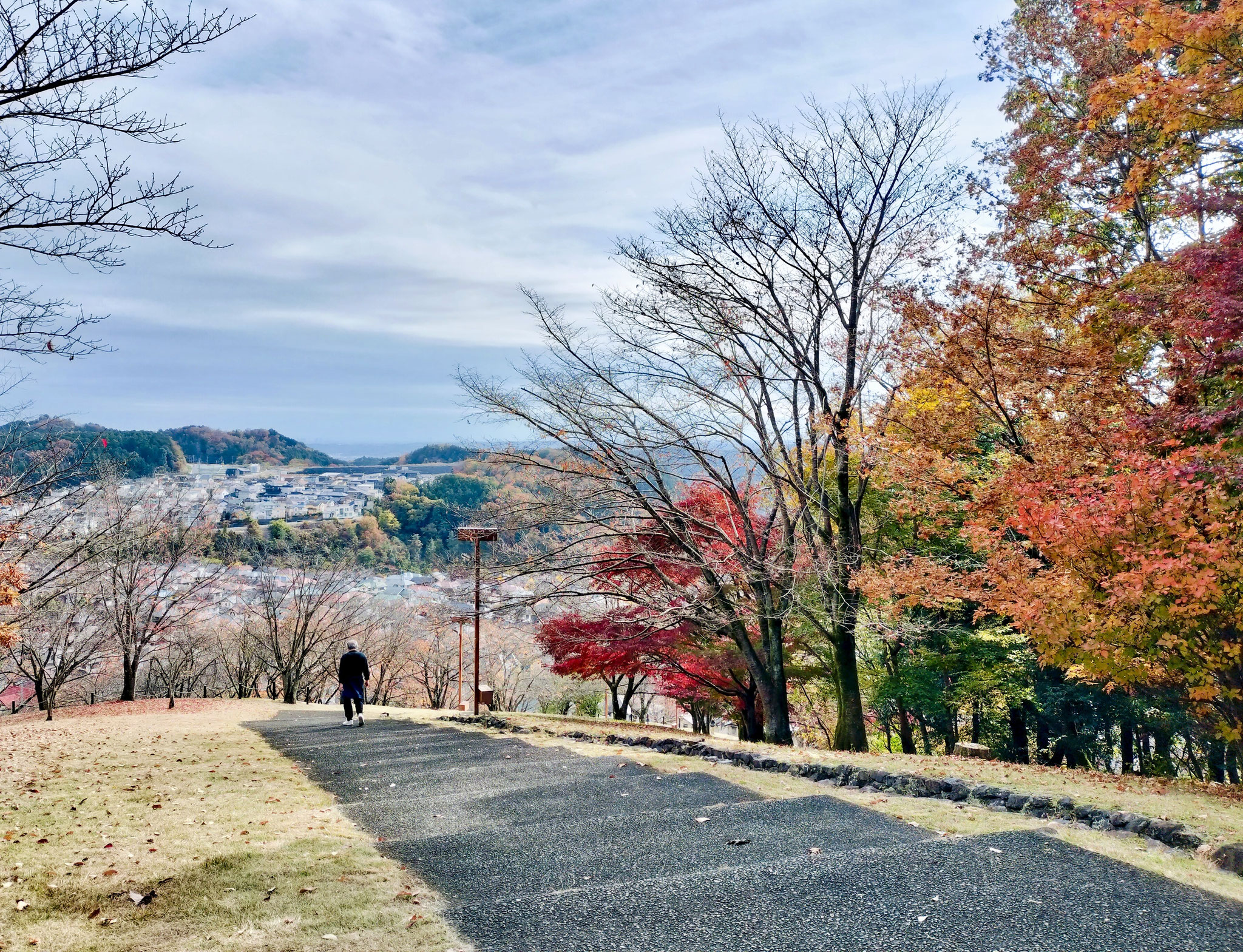 秋　丘の上公園