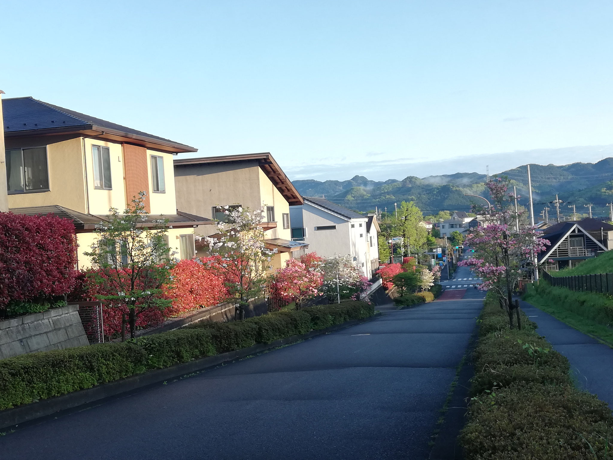 団地内風景