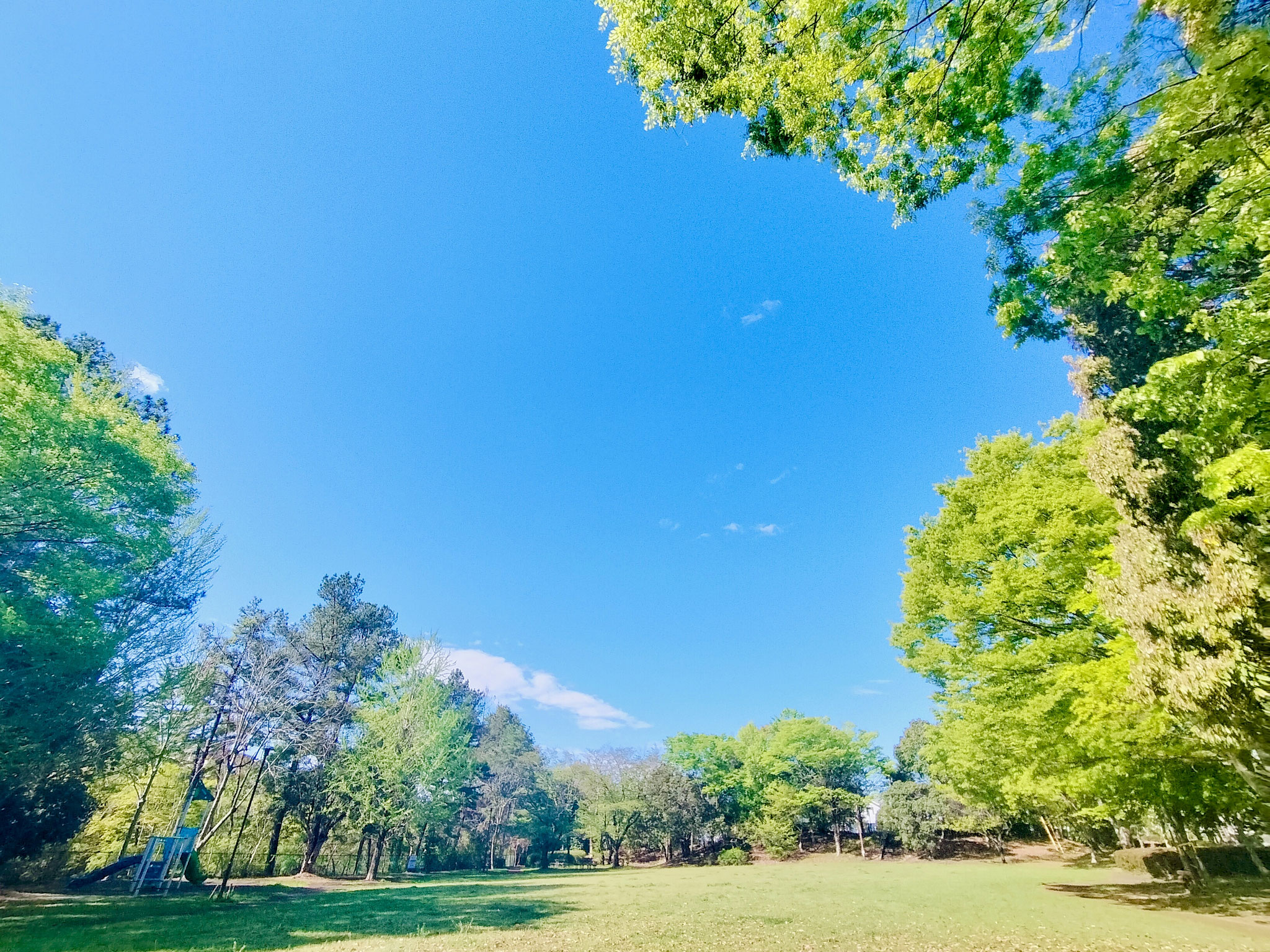 ４月飯能中央公園