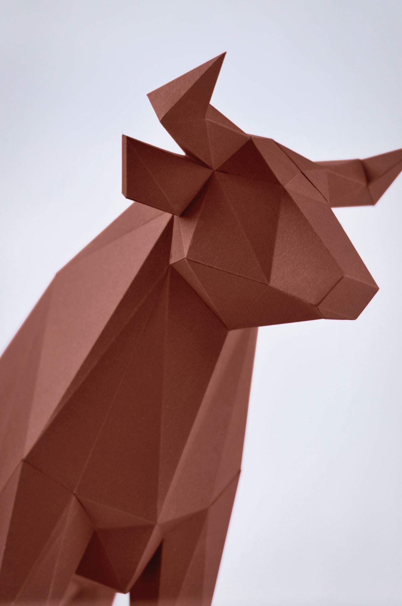 SHOP - LIEBESREH PAPERCRAFT