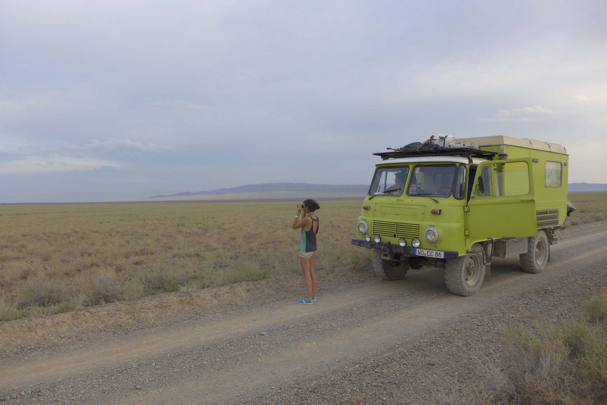 we eventually saw some wild horses.