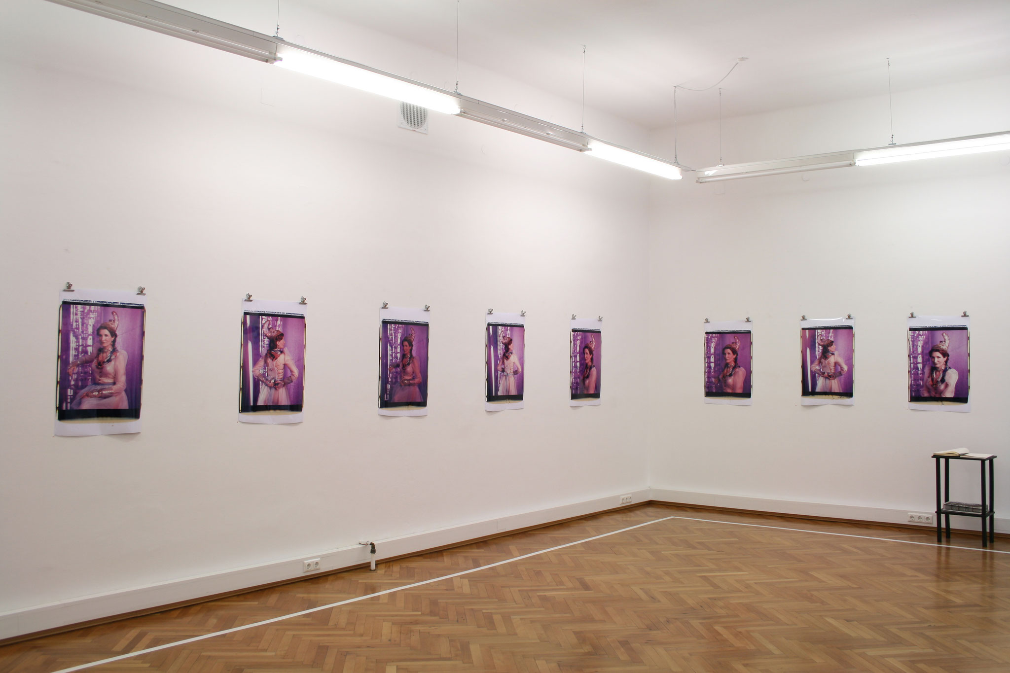 Irene Andessner, Ausstellung "Die schöne Linzerin", 2009
