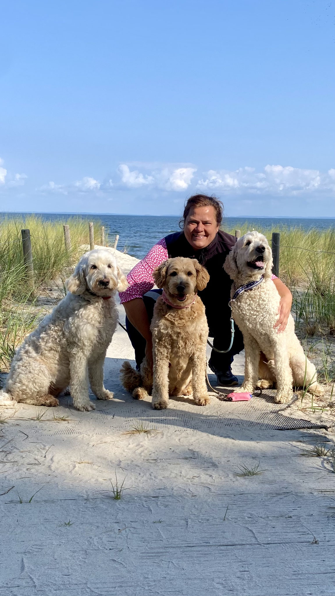 Meine 3 Mäuse, Frieda, Fanny und Seppi