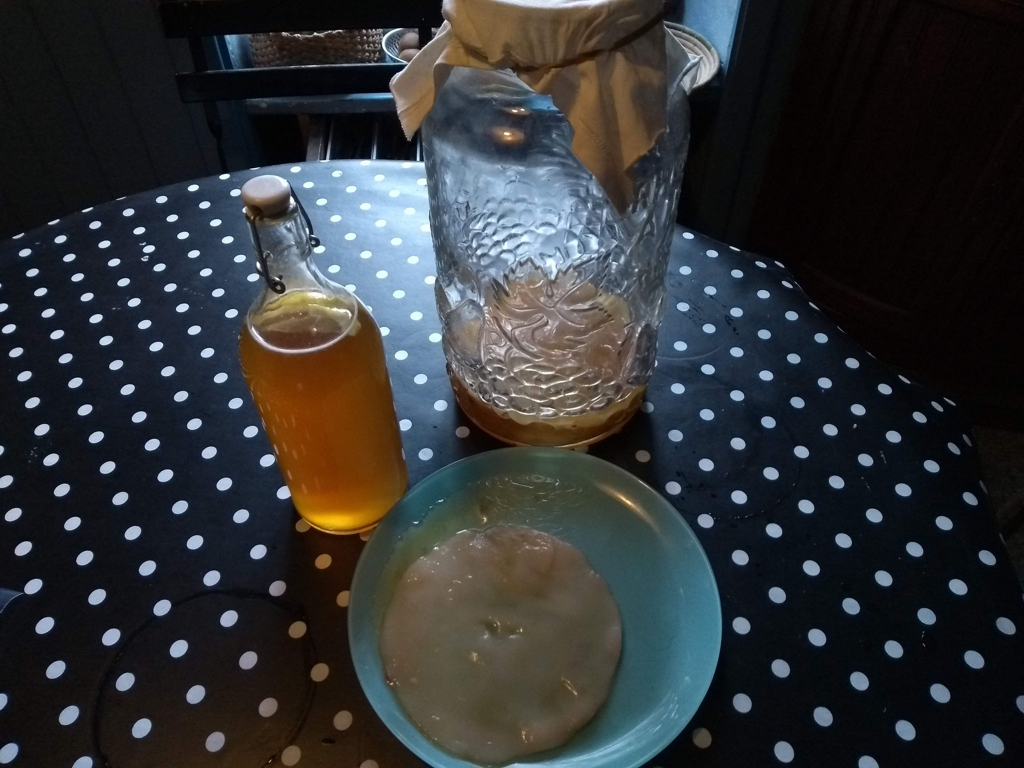 2019- semaine 10 : du nouveau pour les retour de rando avec la Komboucha maison, la recette est vraiment au point !