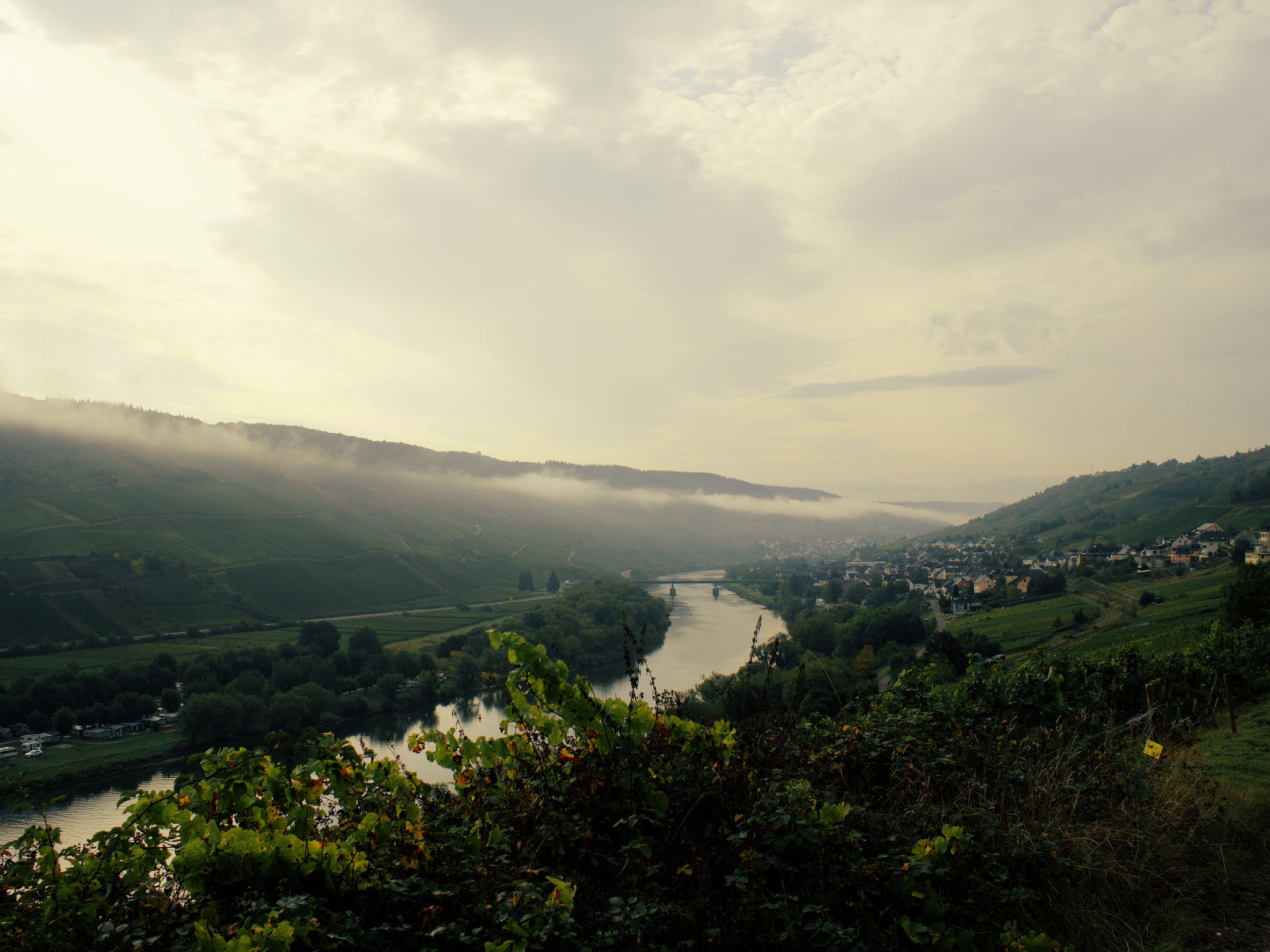 Mosel