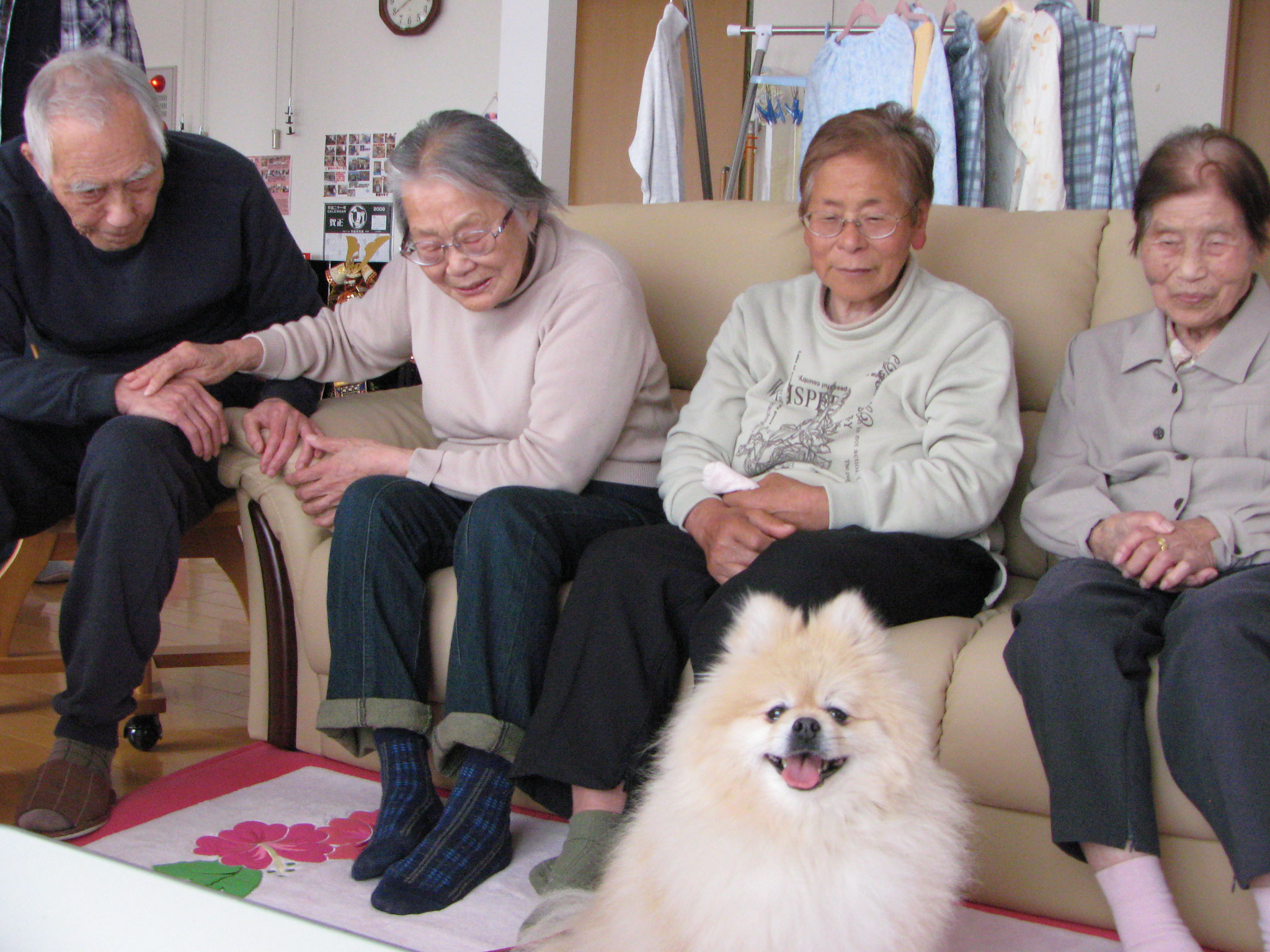 セラピードッグ活動中（国内介護施設にて）