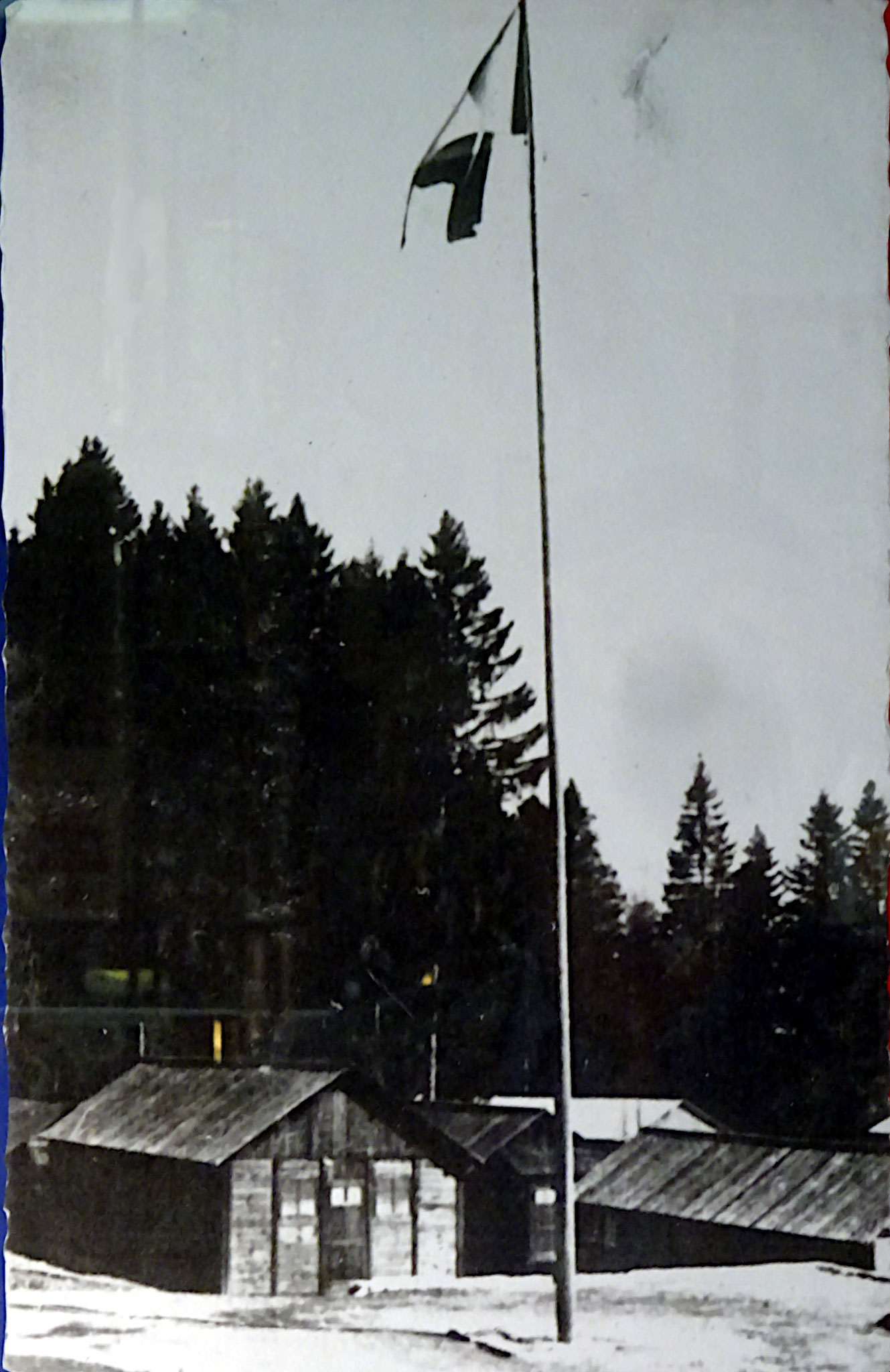 Drapeau du Chantier de la Jeunesse en forêt de Jailloux (Thézillieu) © Alain Espiard