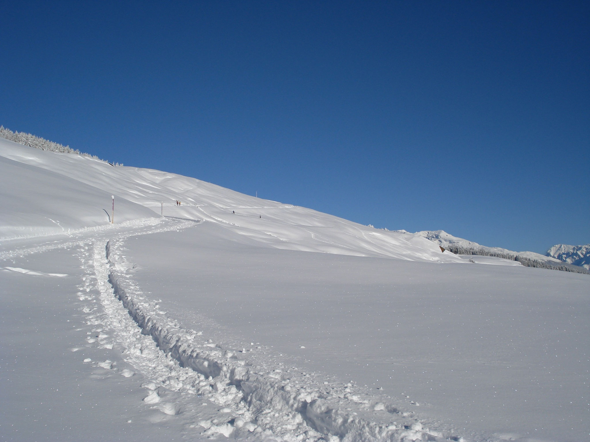 Spuren im Schnee