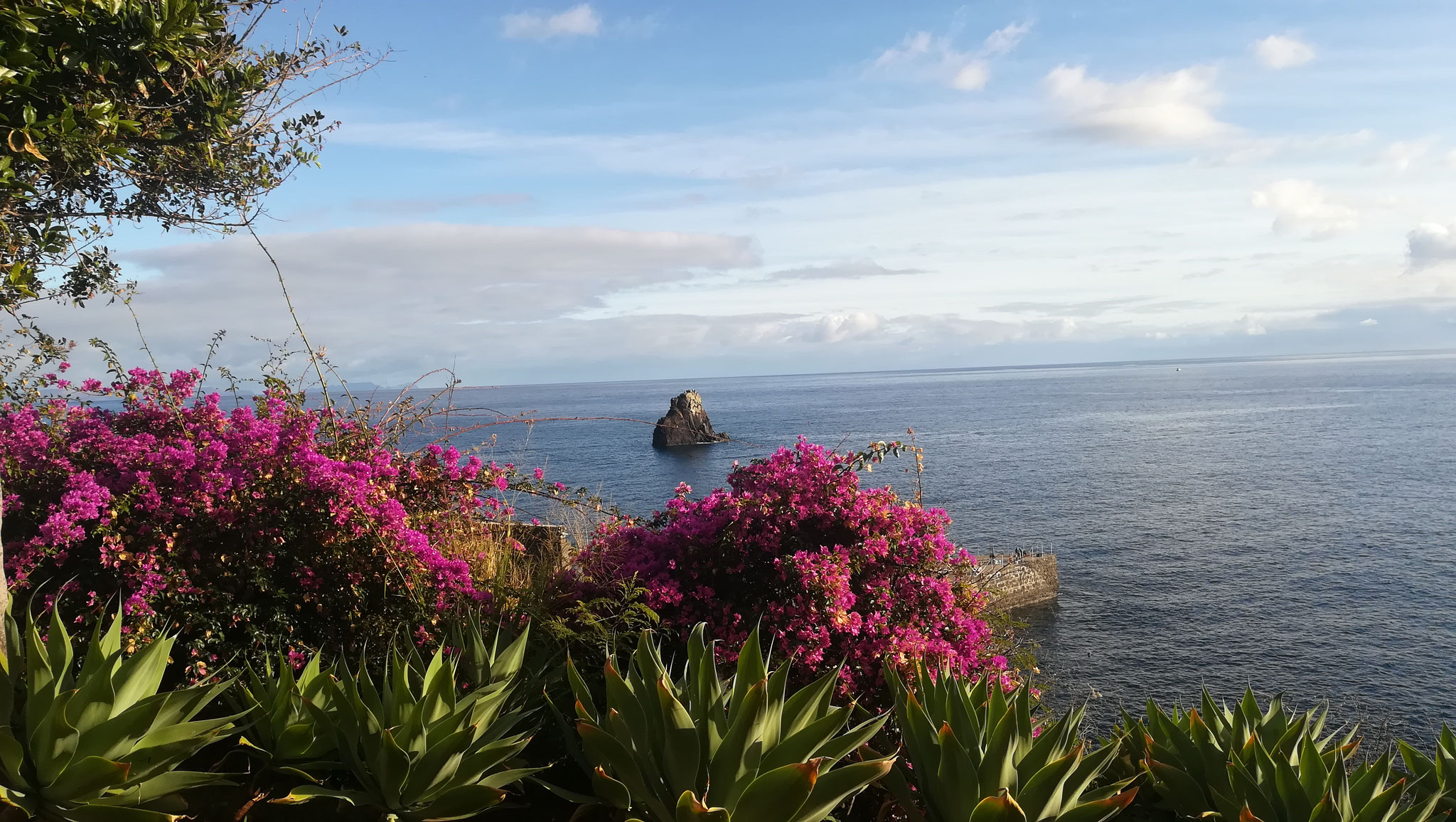 Madeira - Südküste 