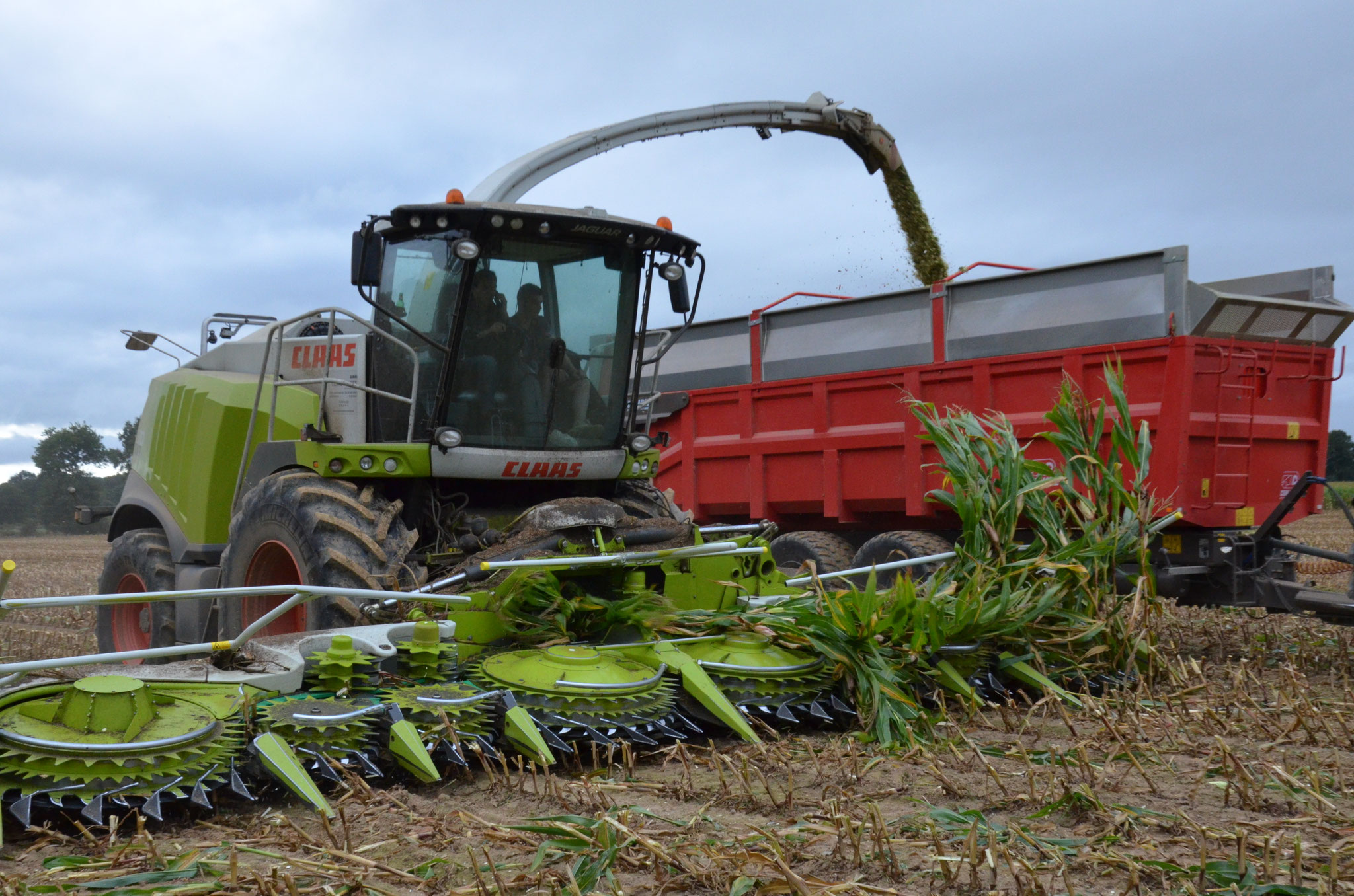 Ensilage