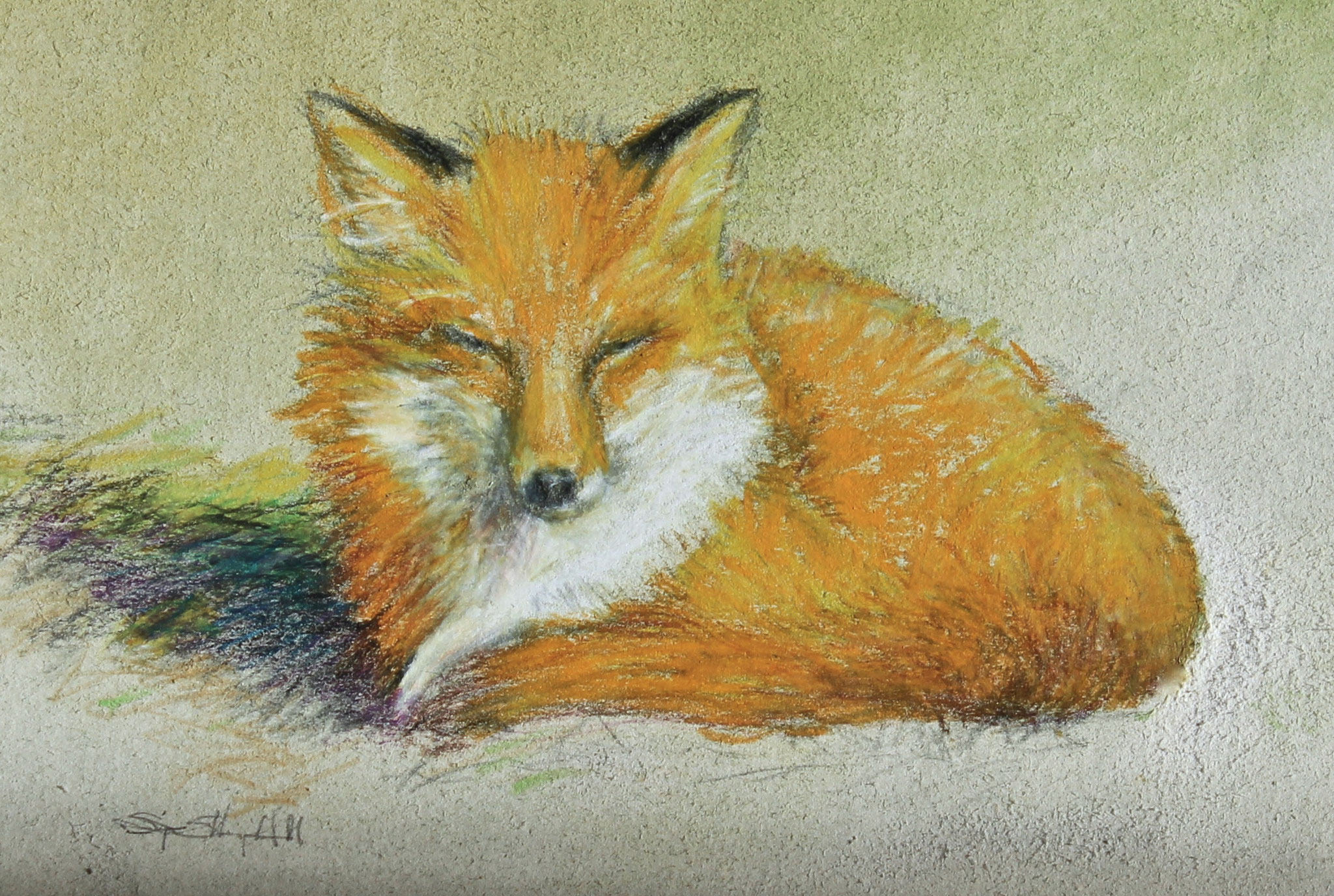 Sleepy Fox- mixed media- 7"x5"