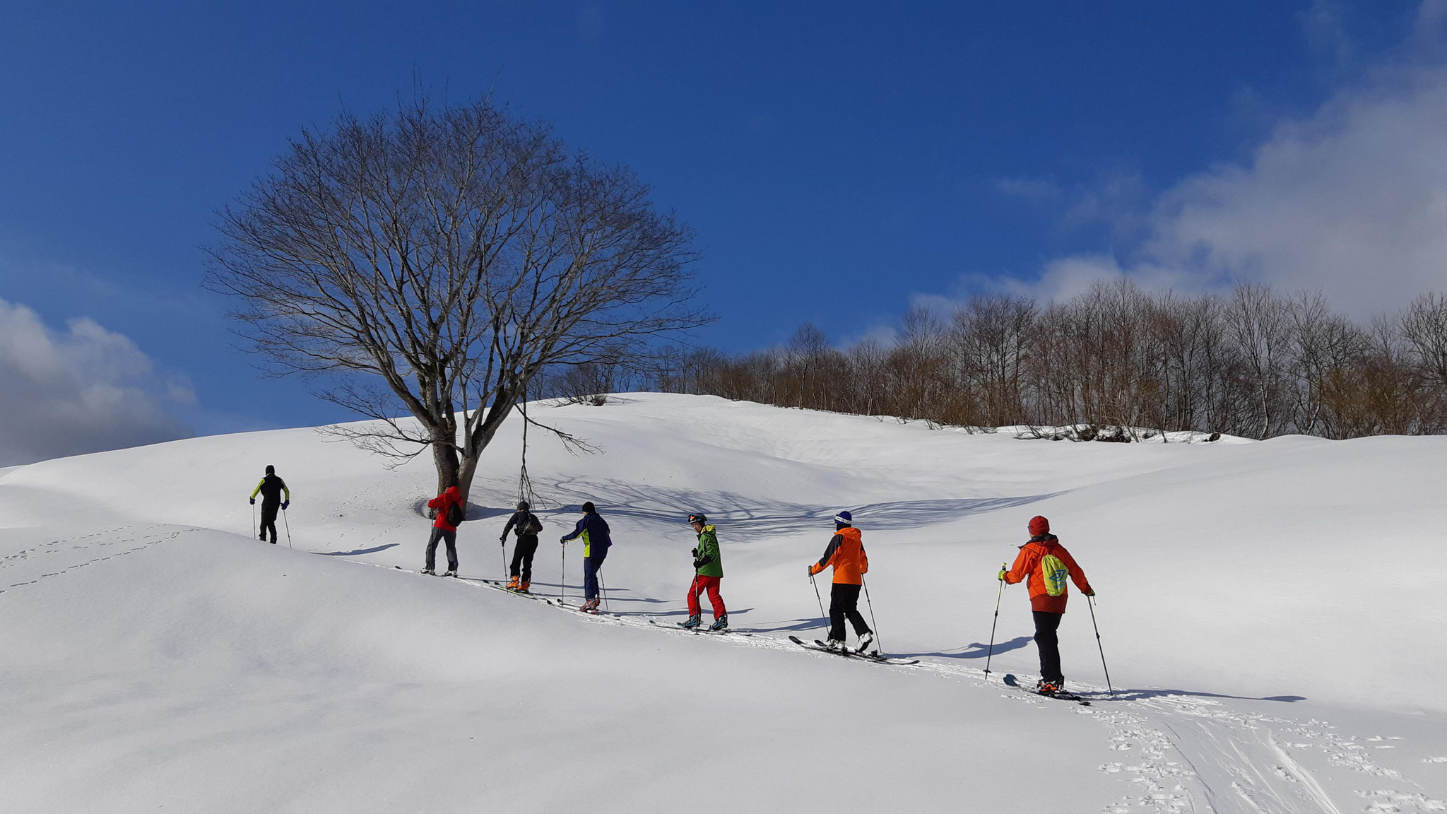 ELAN 山スキー バックカントリー 狩場山 2021 バックカントリー 山スキー 【北海道雪山登山ガイド