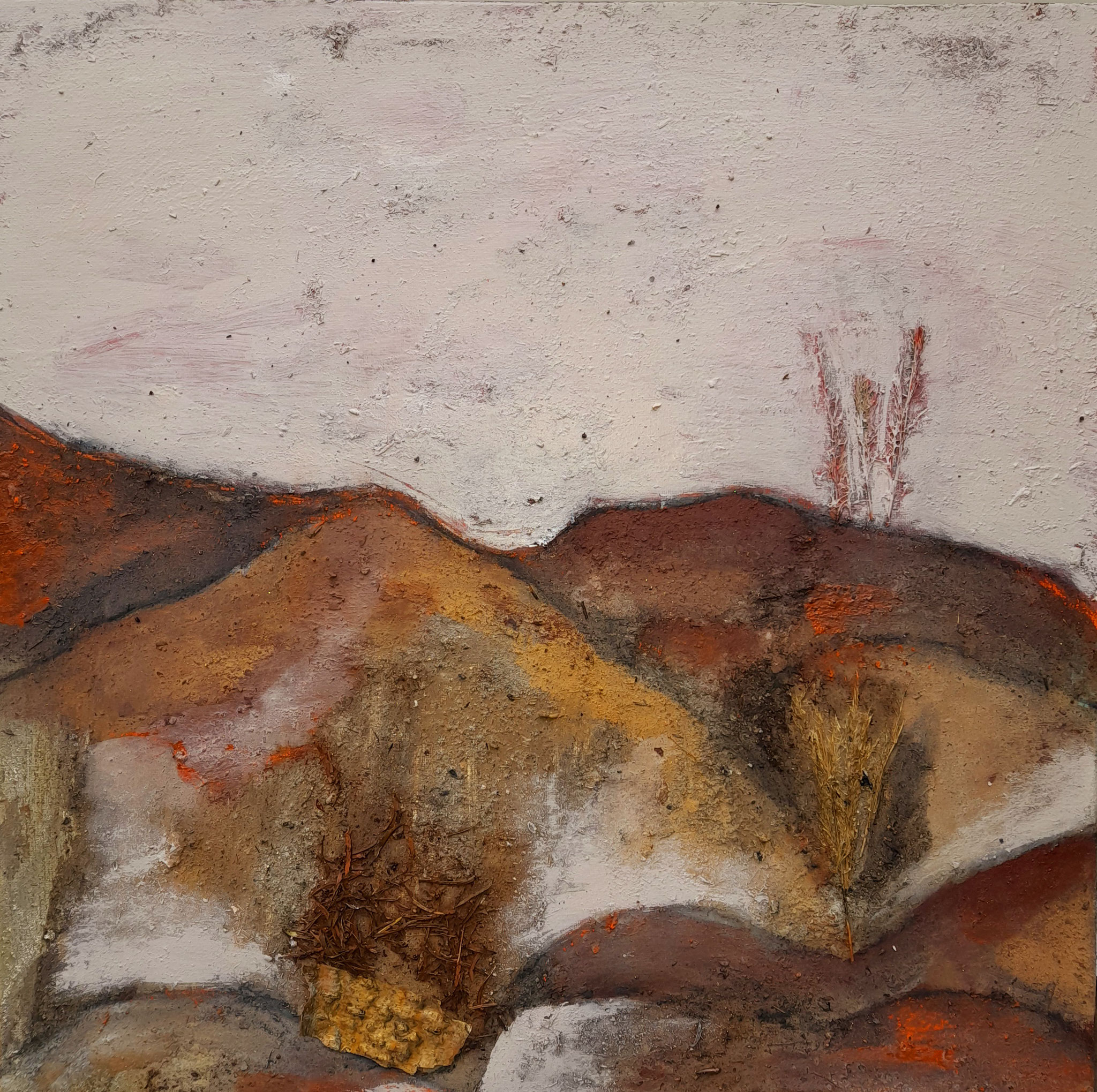 50 x 50 cm
