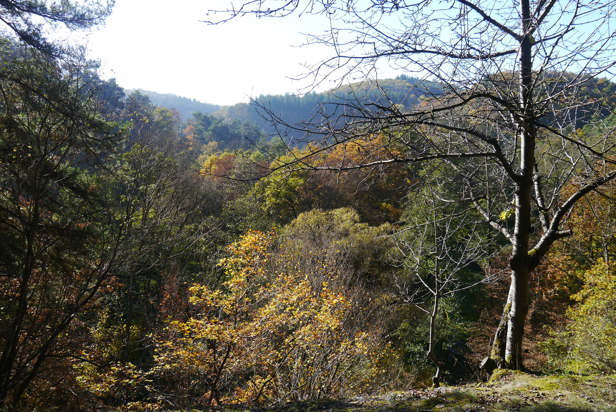 ...in der wunderschönen herbstlichen Eifel.