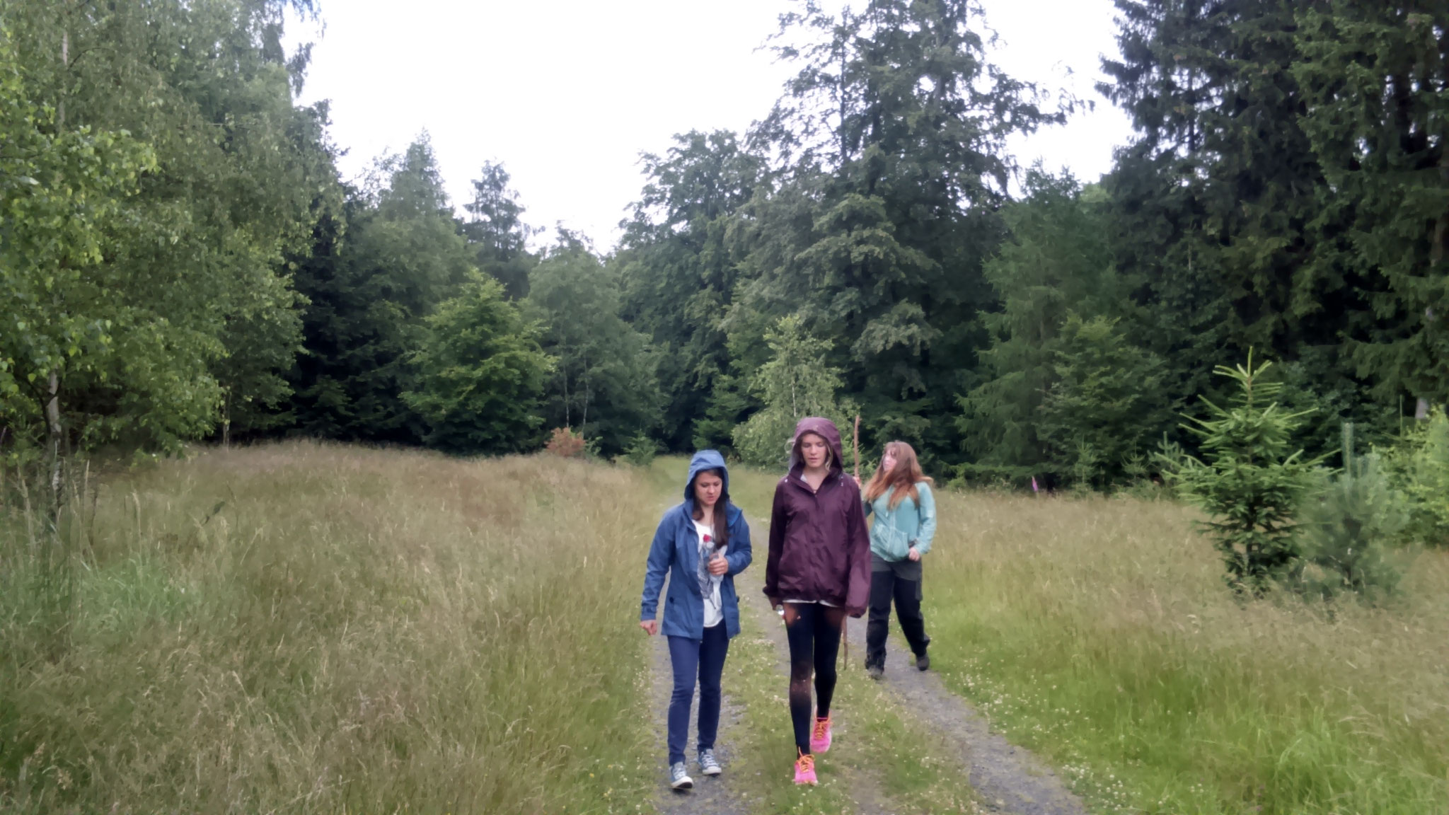 Wandern