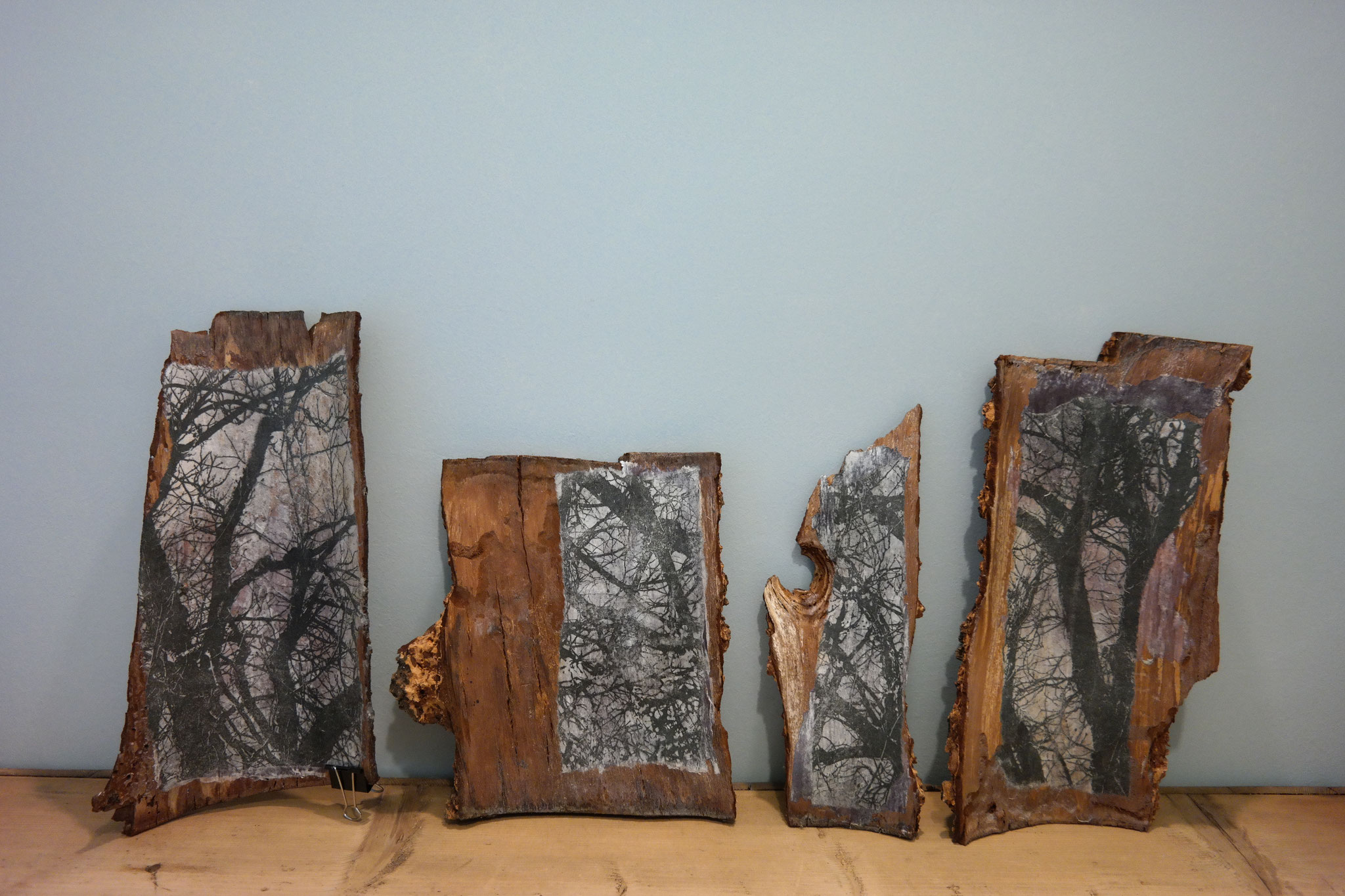 Frottage auf Holz | 35x75cm | 2014