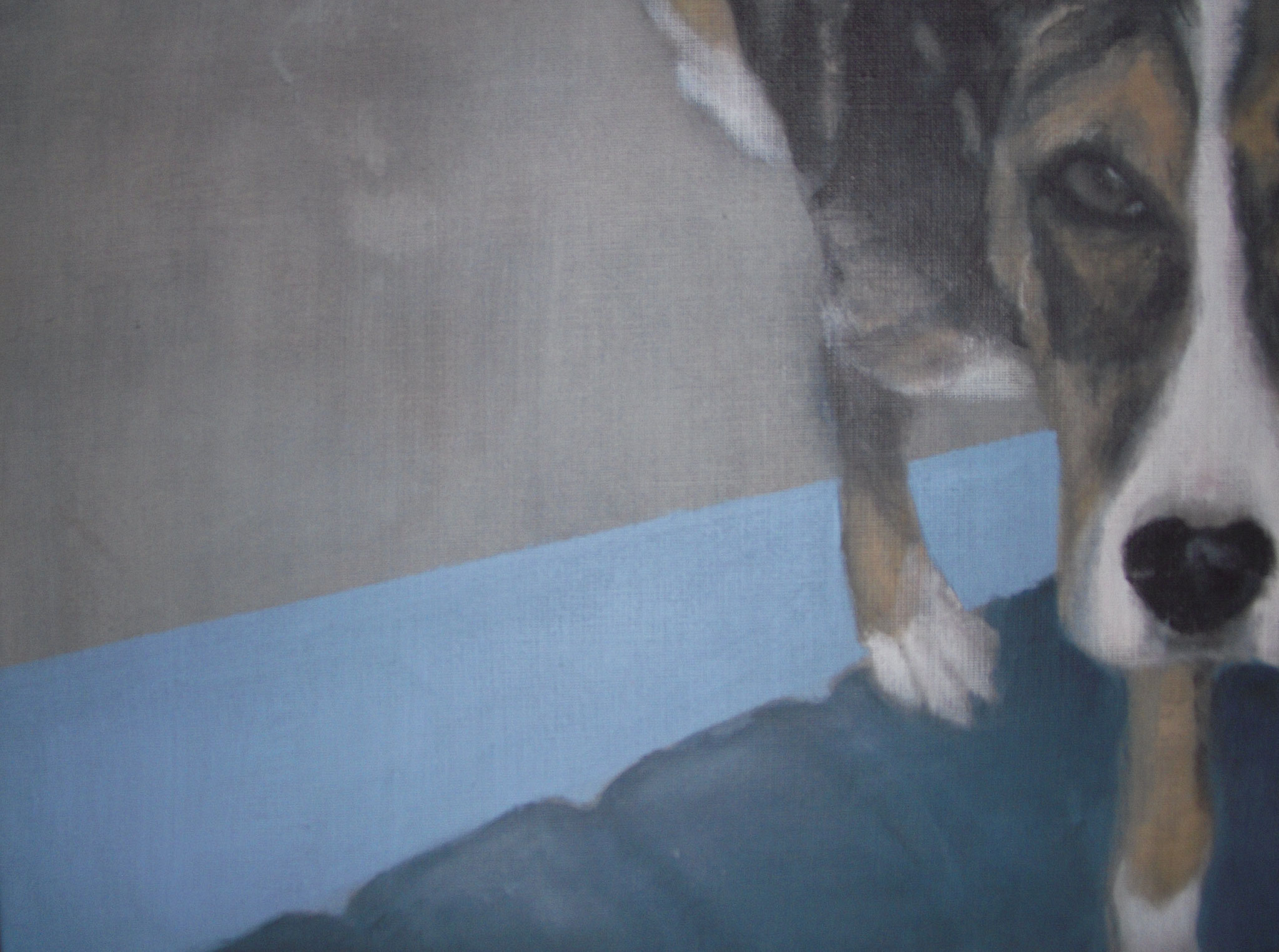trico7 | 30x40cm | acryl auf leinen | 2007
