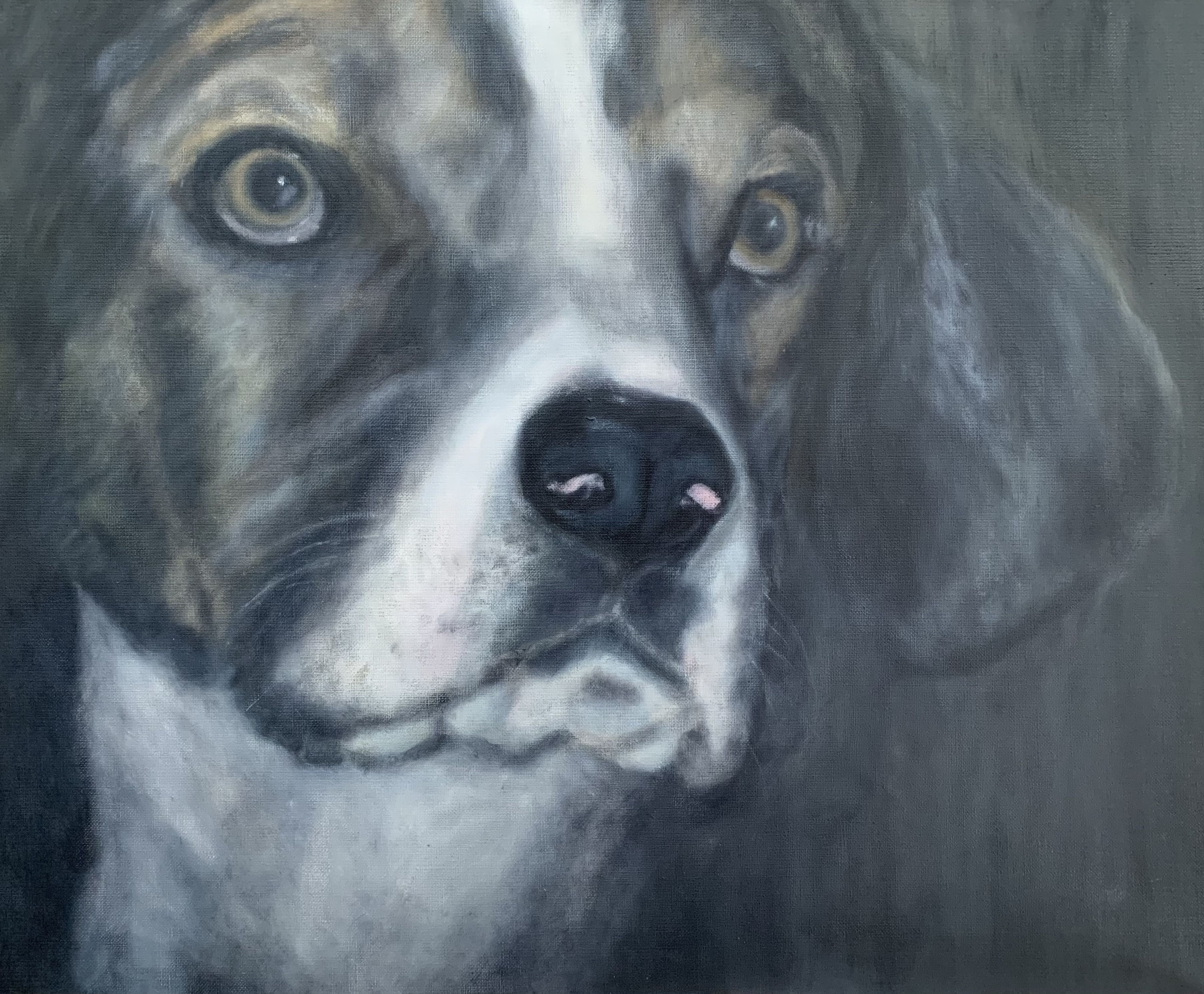 trico portrait | 50x60cm | acryl + öl auf leinen | 2007-2021