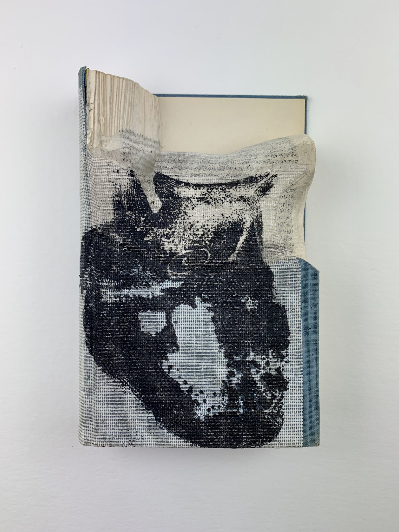 herz | buchobjekt | siebdruck | 20x13x4cm | 2019