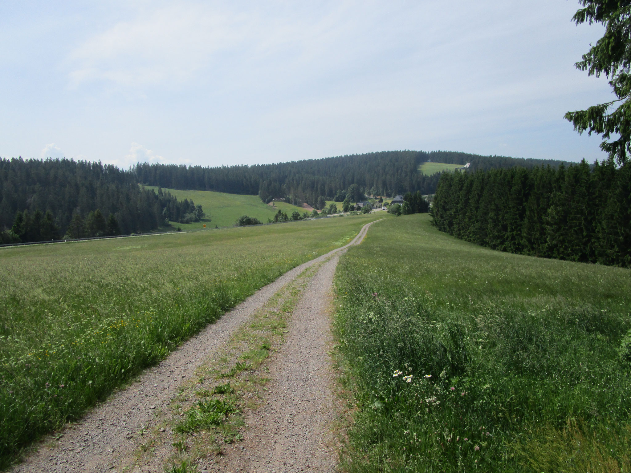 Blick zurück zur Kalten Herberge.