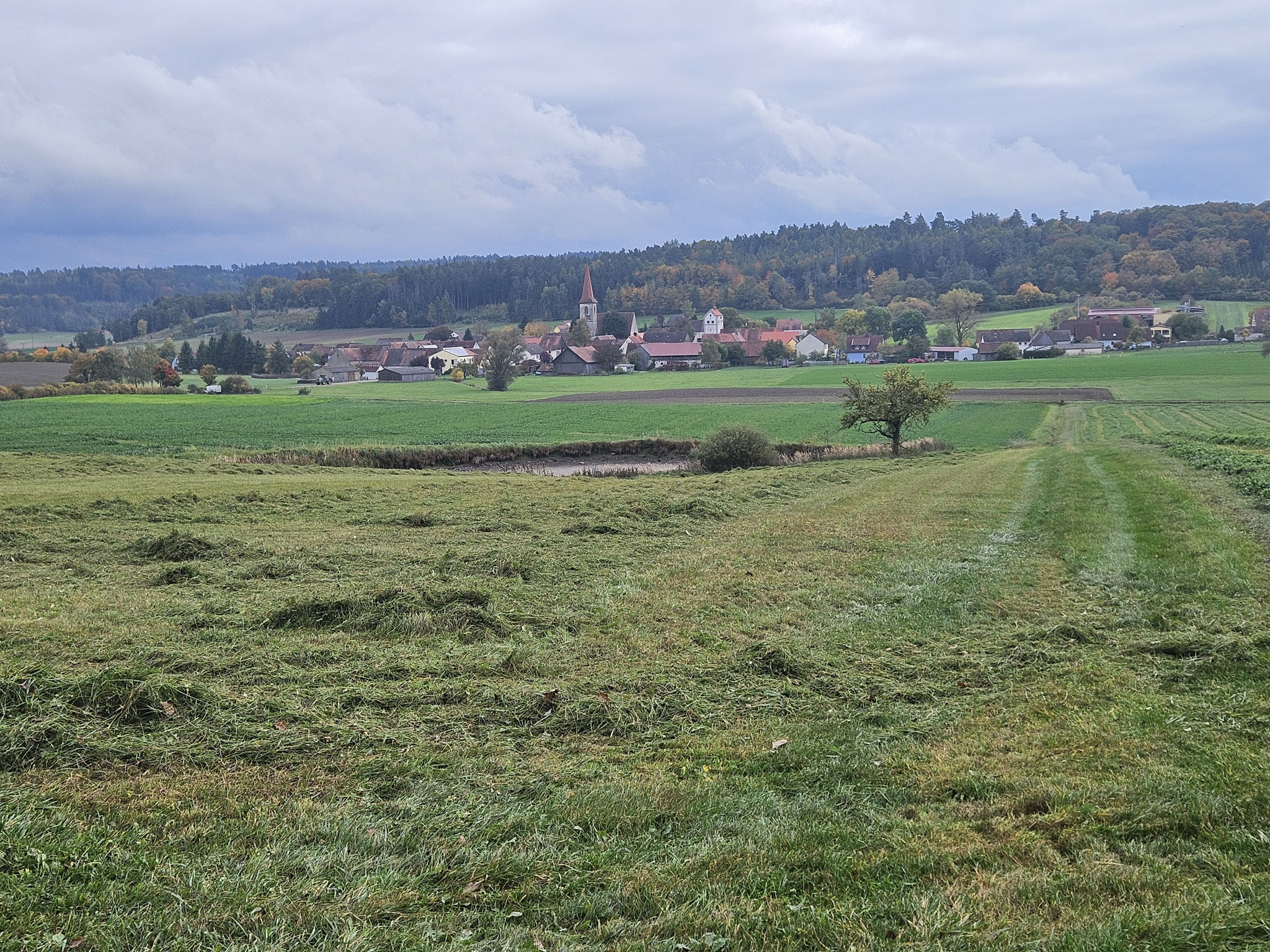 EHWS vor Obersulzbach, Flussgebiet der Fränkisch Rezat (Main-Rhein).