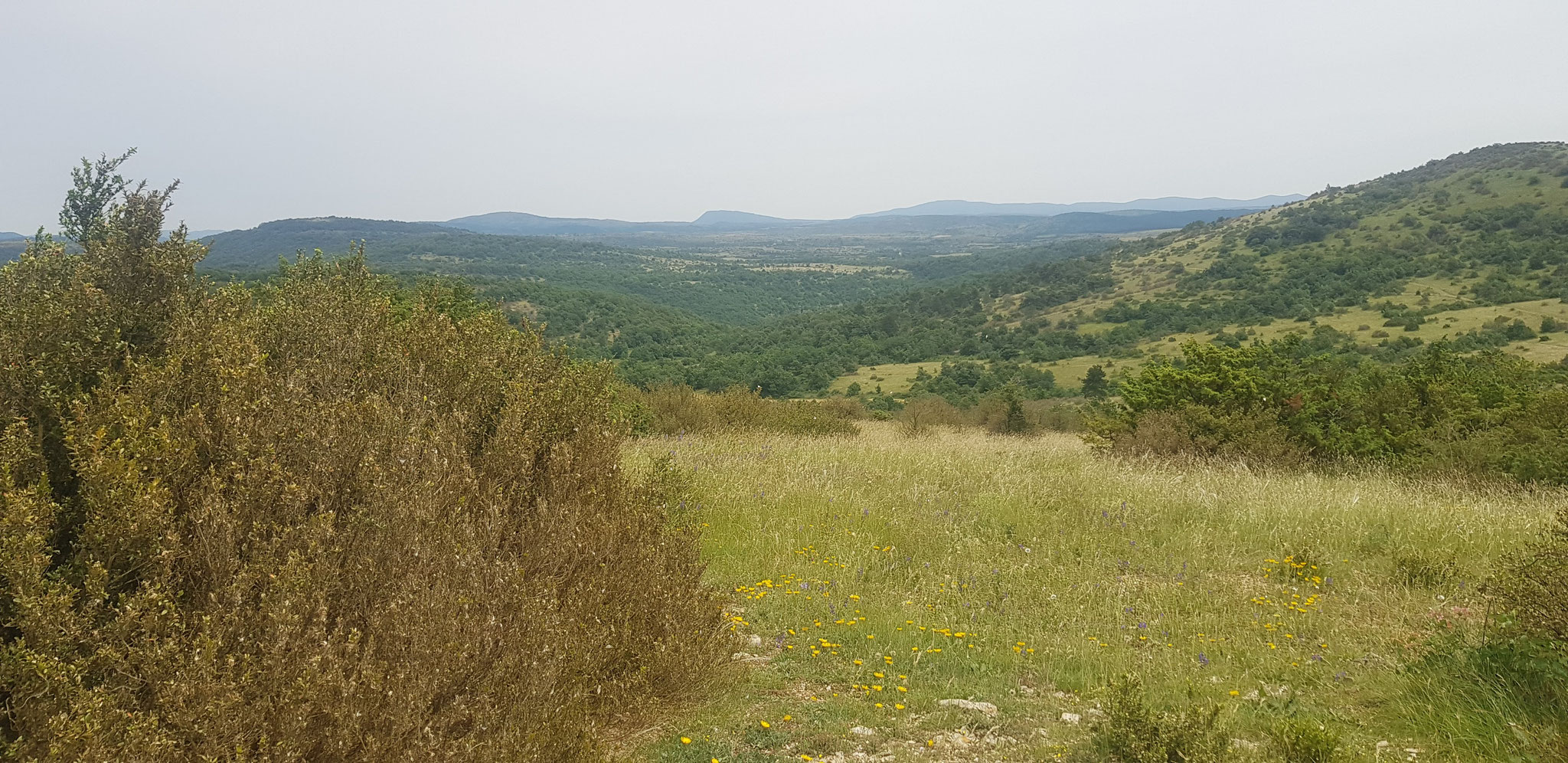 Ob Gaillac. Blick über Virenque-Tal und Umgebung.