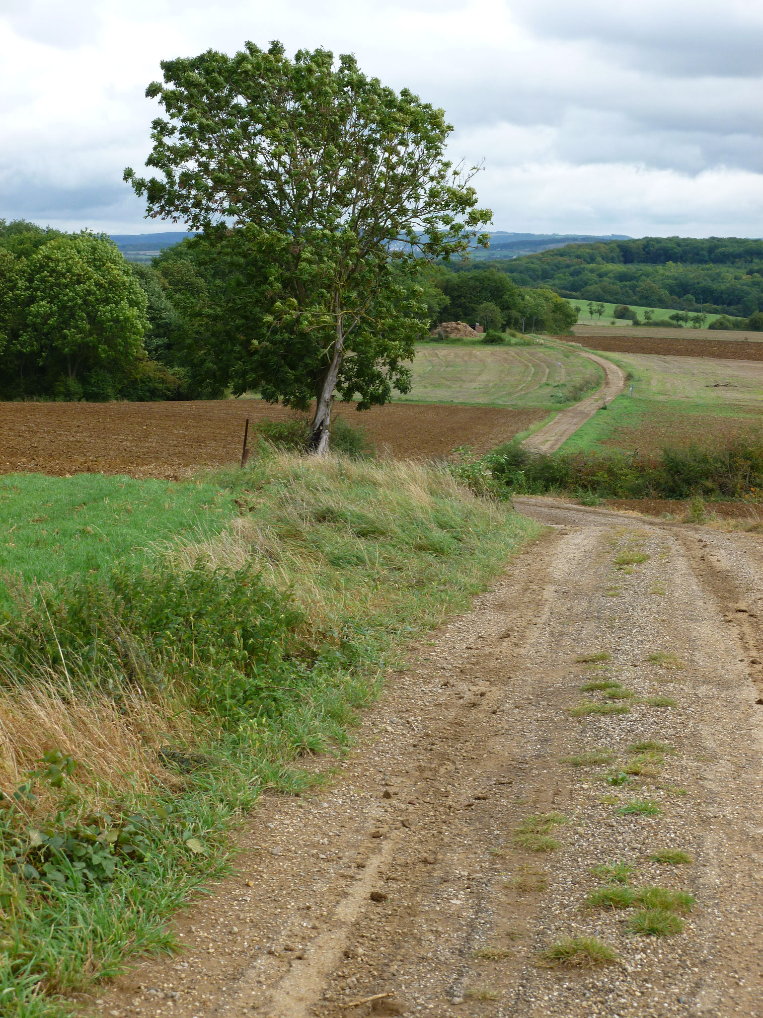 Luxemburgisch-französisches Grenzgebiet, vor Mondorf-les-Bains.